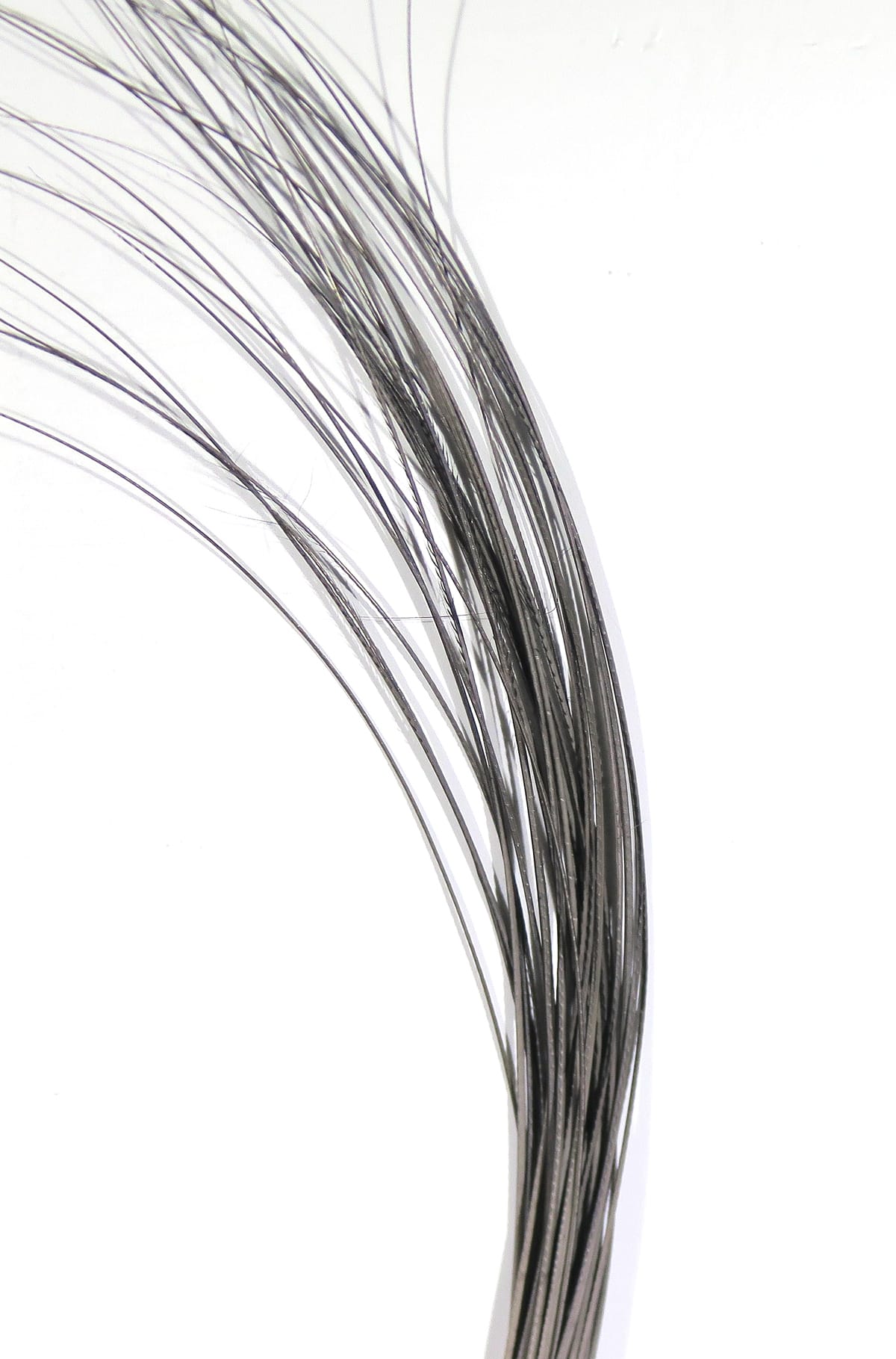 Gray-black quill body bundle with long glossy feather fibers, curved slender fly tying material on white background