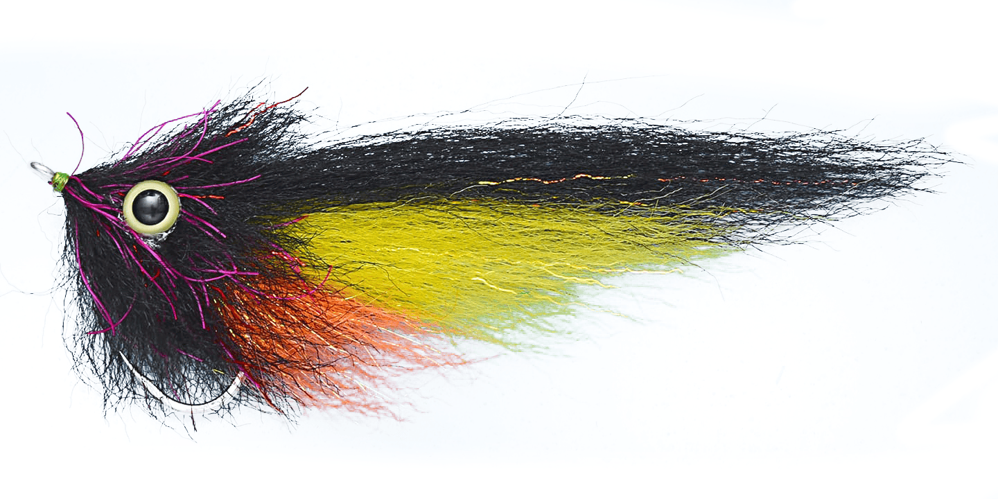 EP Amazon SP Fly