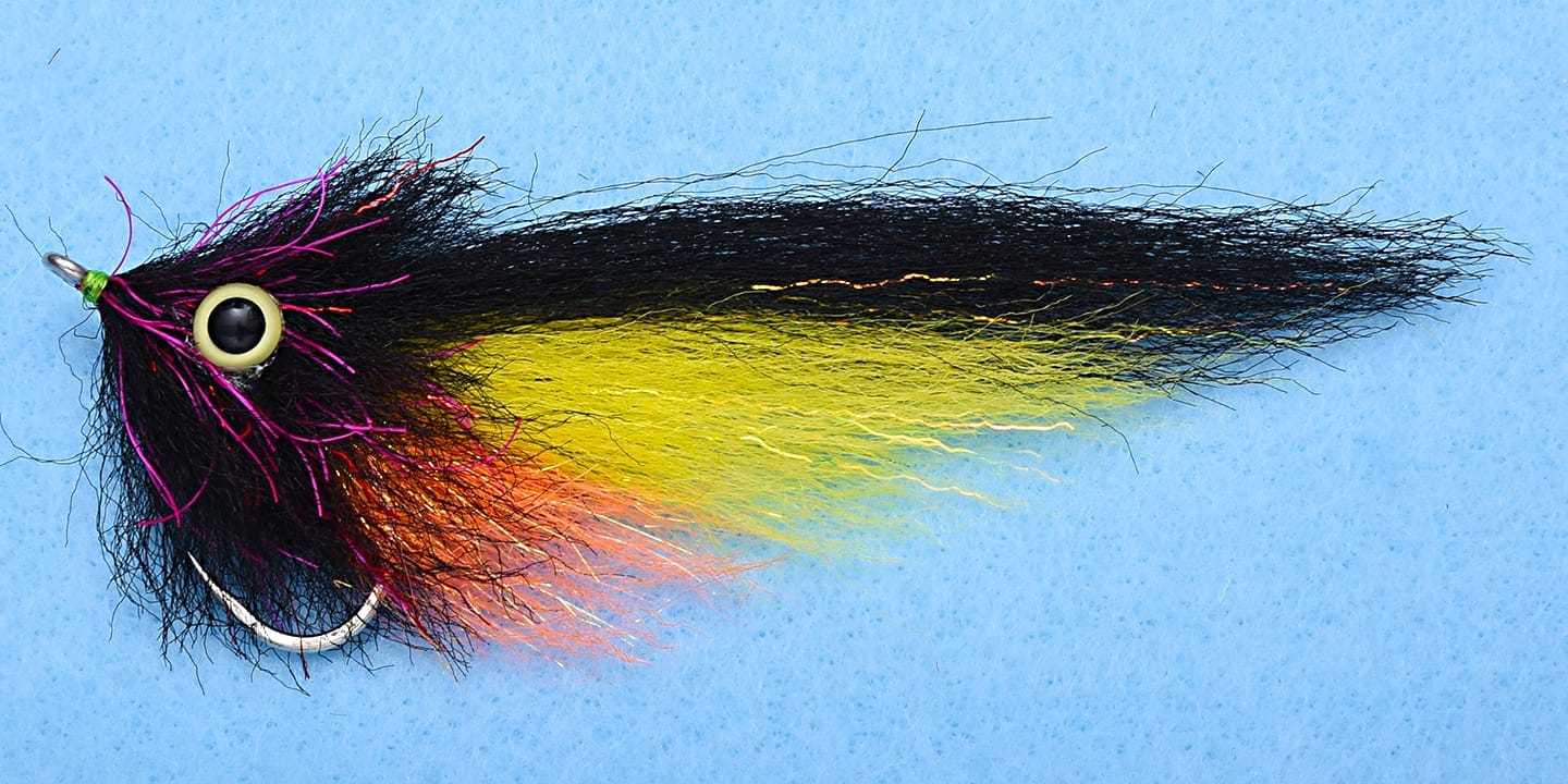 EP Amazon SP Fly