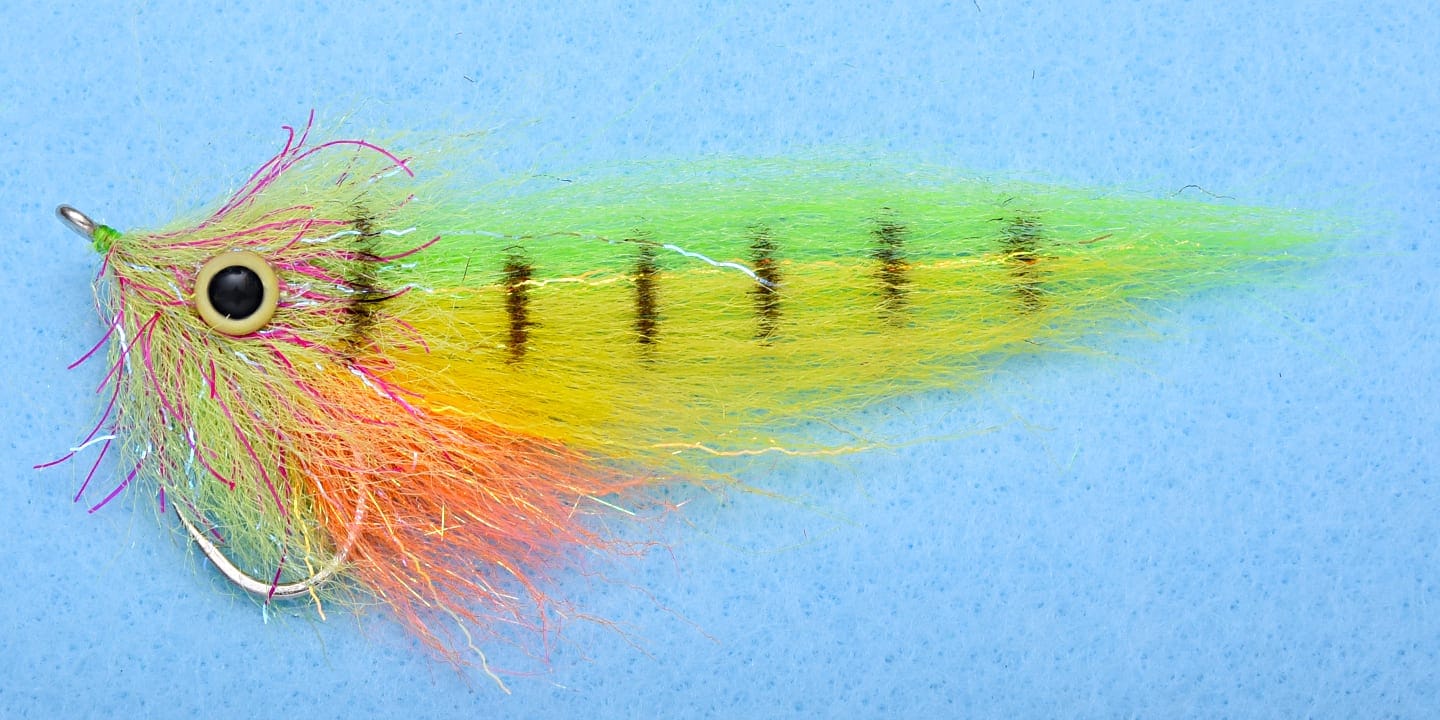 EP Amazon SP Fly
