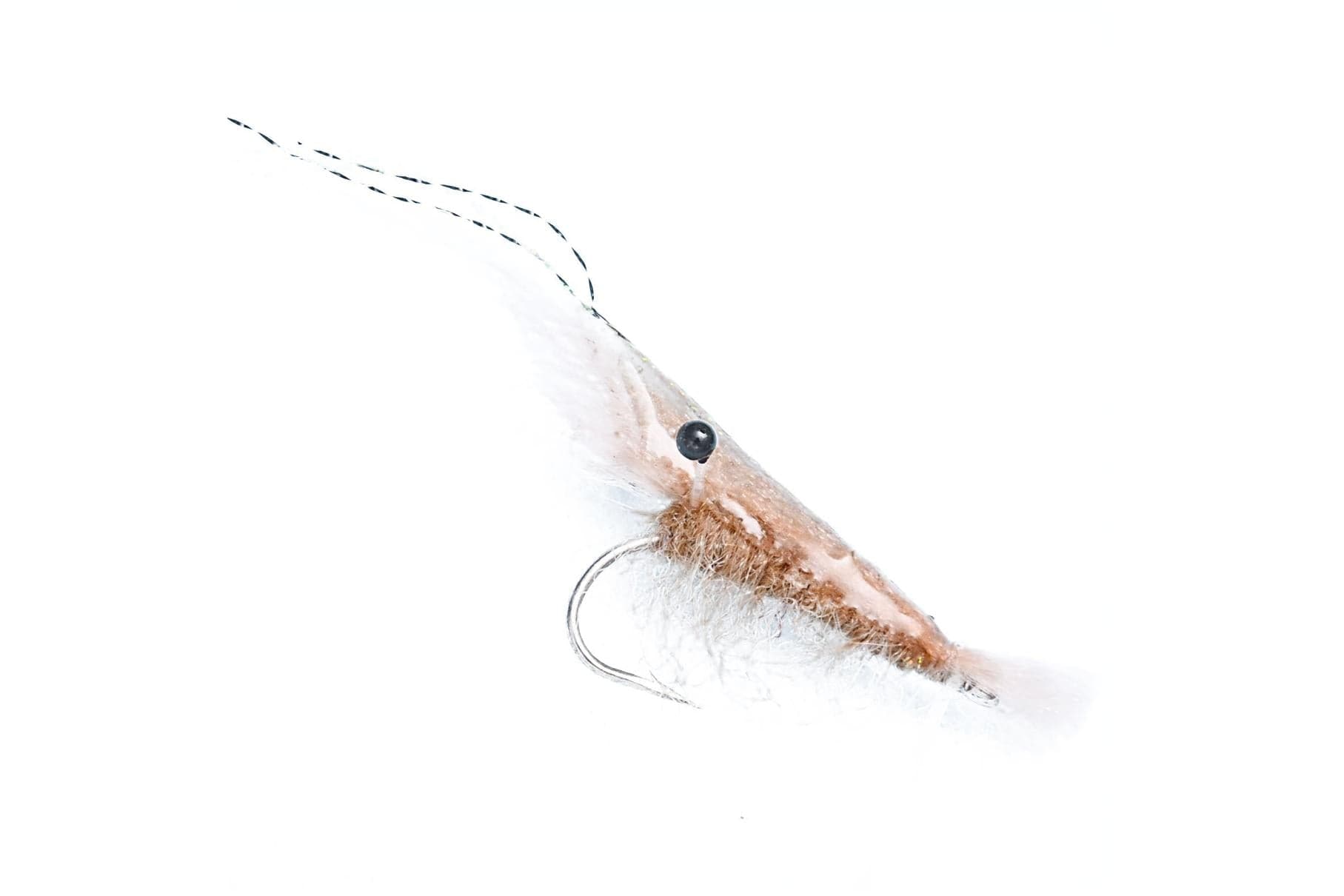 EP Grass Shrimp Fly