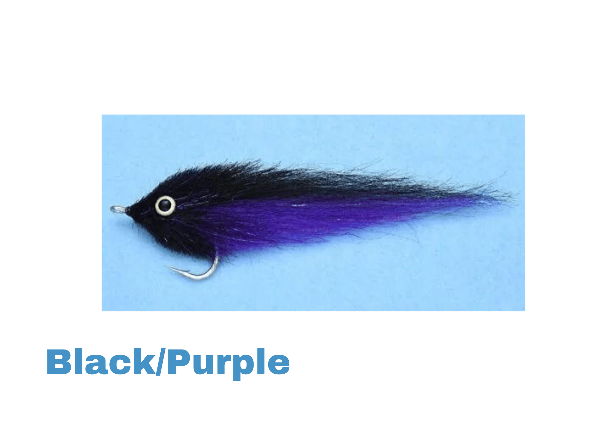 EP GT Fly