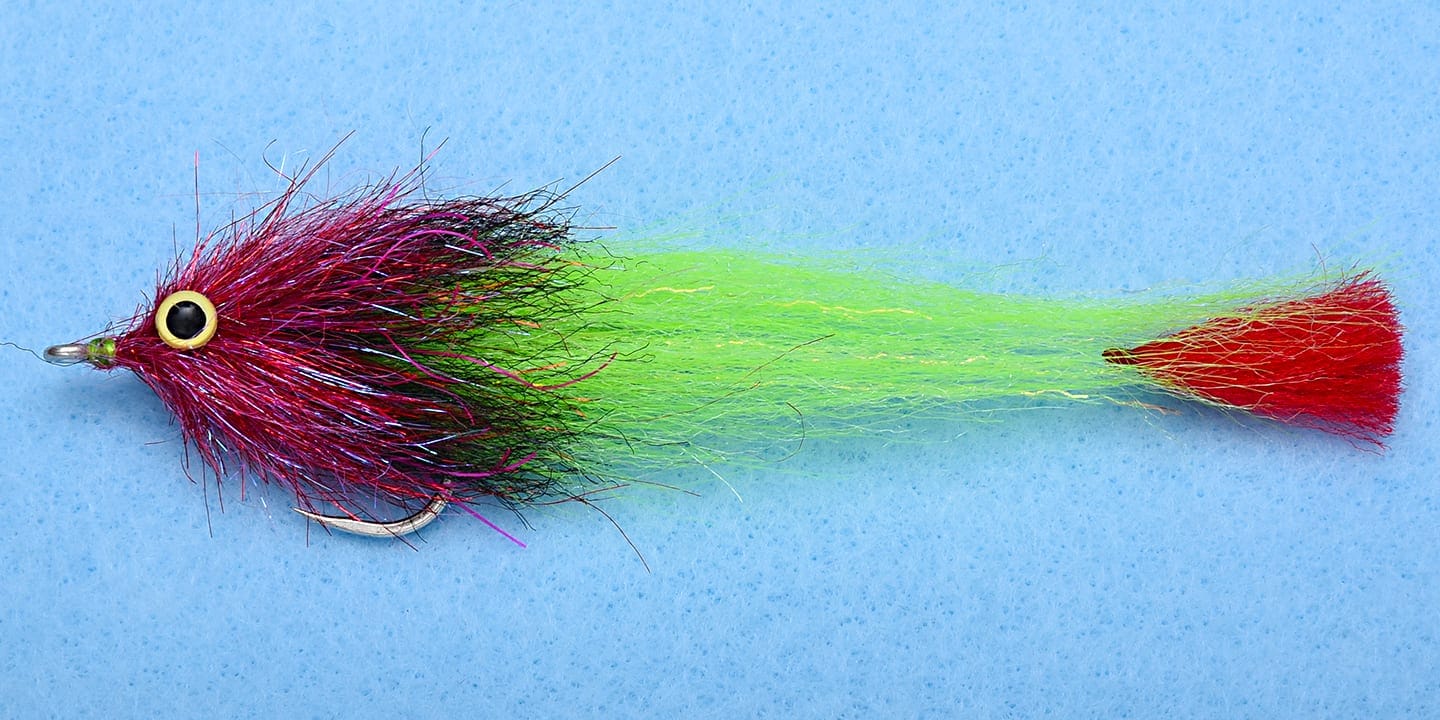 EP Jungle SP Fly