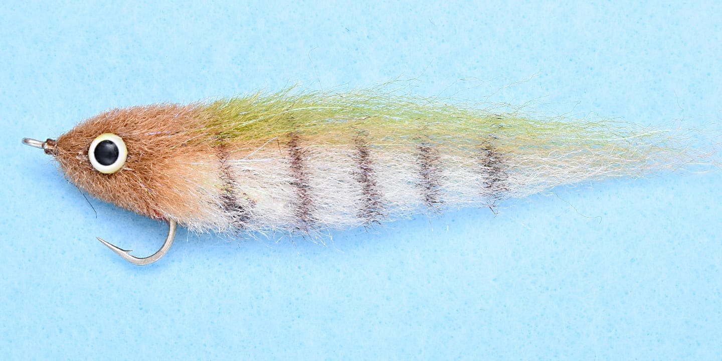EP Rattle Fly