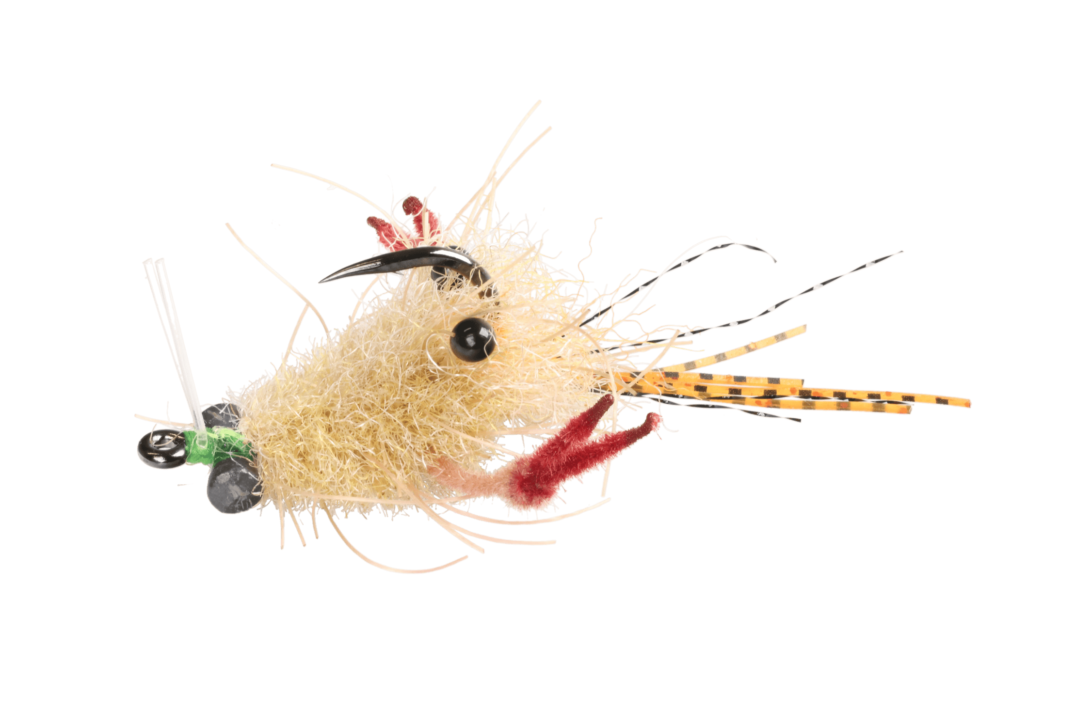 EP Tarantula Crab Fly