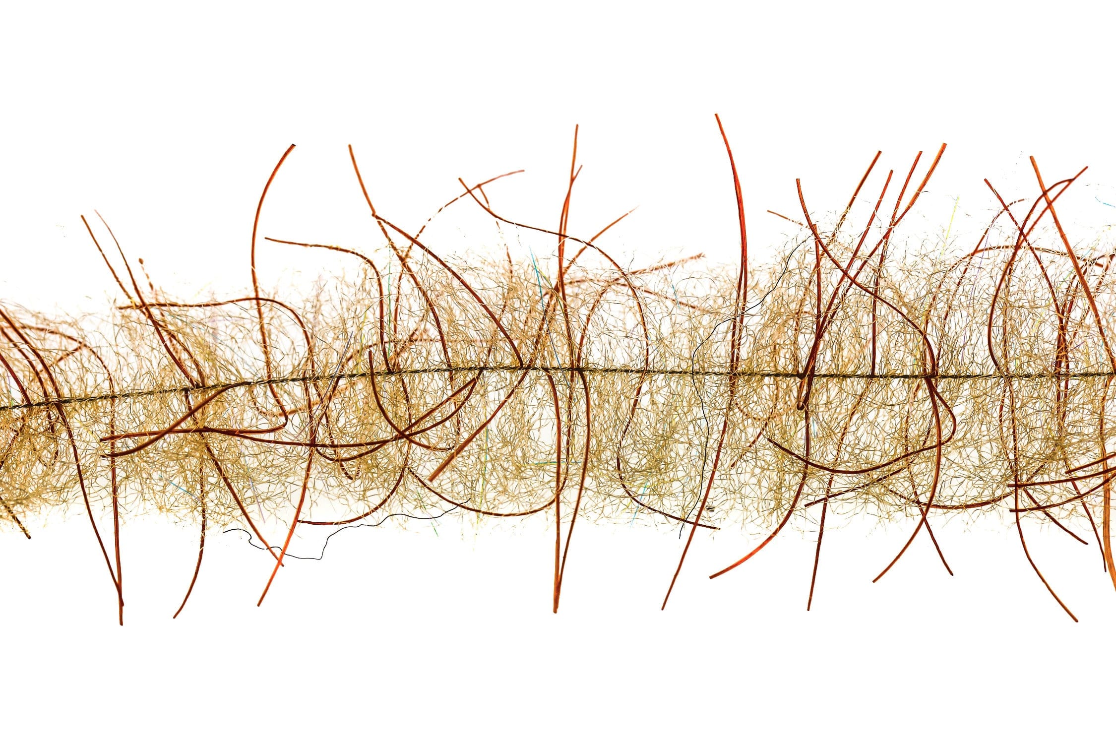 Enrico Puglisi Tarantula hairy legs brush with tan curly fibers and long coppery legs on woven base for fly tying
