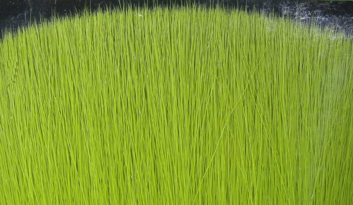 Chartreuse Fish-Skull faux bucktail with long straight synthetic fibers for fly tying, glossy thin strands