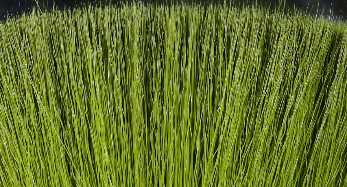 Chartreuse Fish-Skull faux bucktail fibers, dense long synthetic hair for fly tying, fine tapered strands and glossy finish