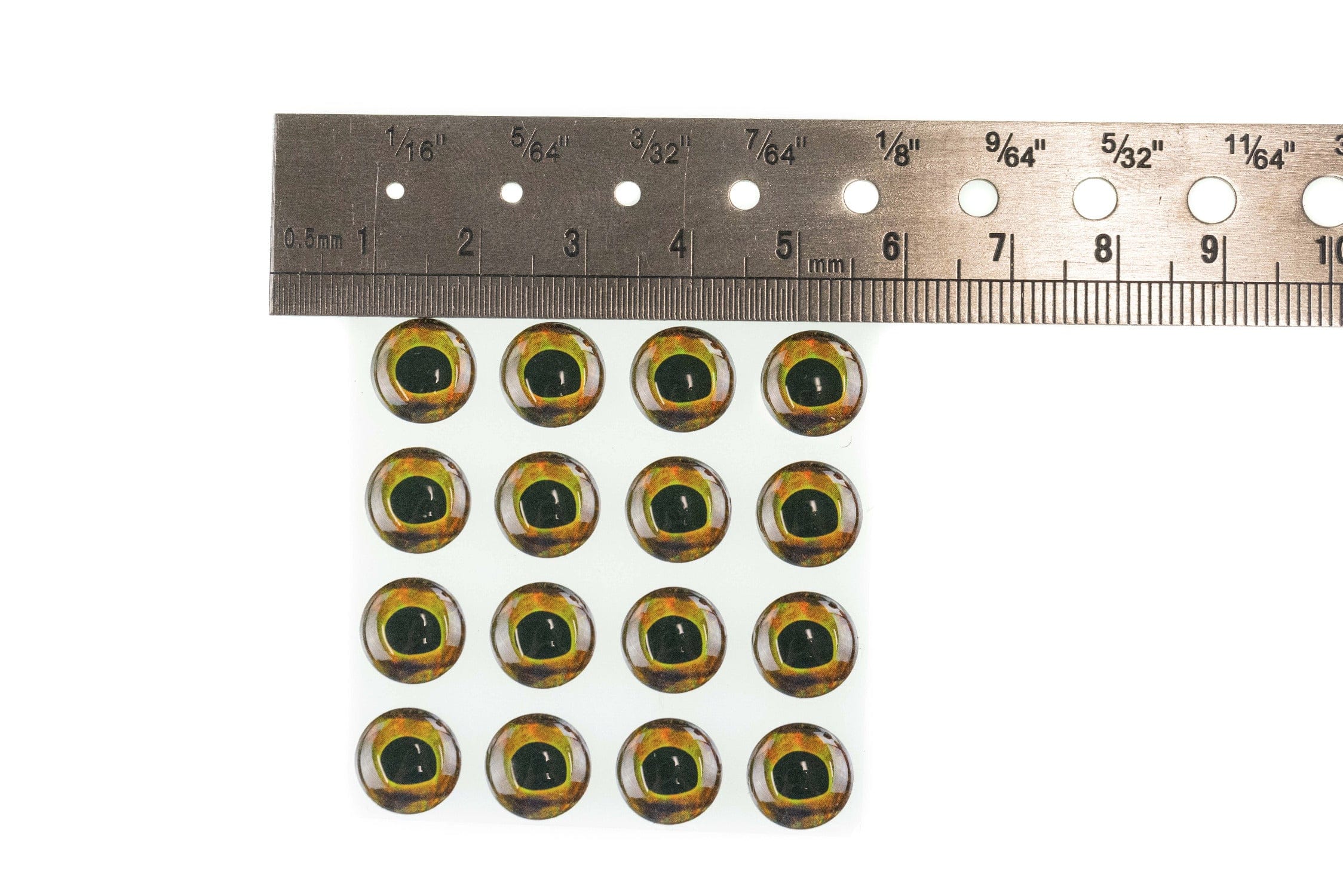 Domed Fish-Skull living eyes acrylic with amber and olive irises and black pupils beside metal ruler for fly tying