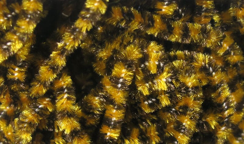 Golden olive and black stonefly chenille with fuzzy, sparkly synthetic fibers for fly tying, close-up texture view