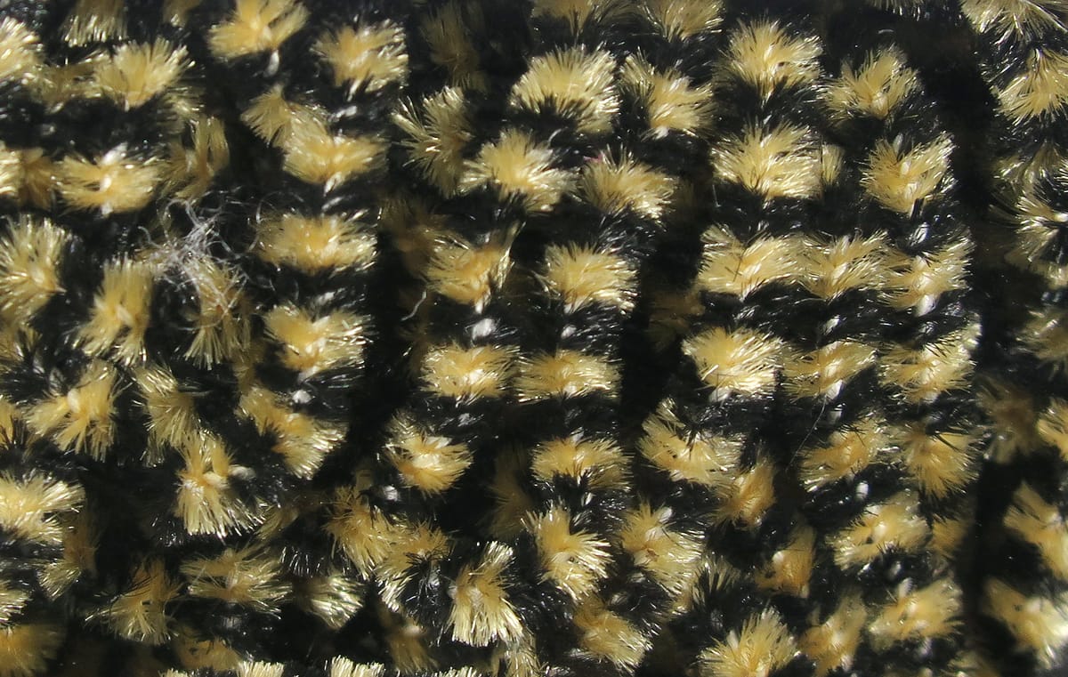 Close-up gold and black stonefly chenille with dense, fuzzy synthetic fibers, striped texture for fly tying