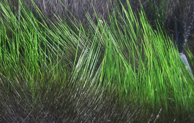 Hareline Frostip rabbit fur strips with bright chartreuse green tips on dark brown glossy hairs for fly tying