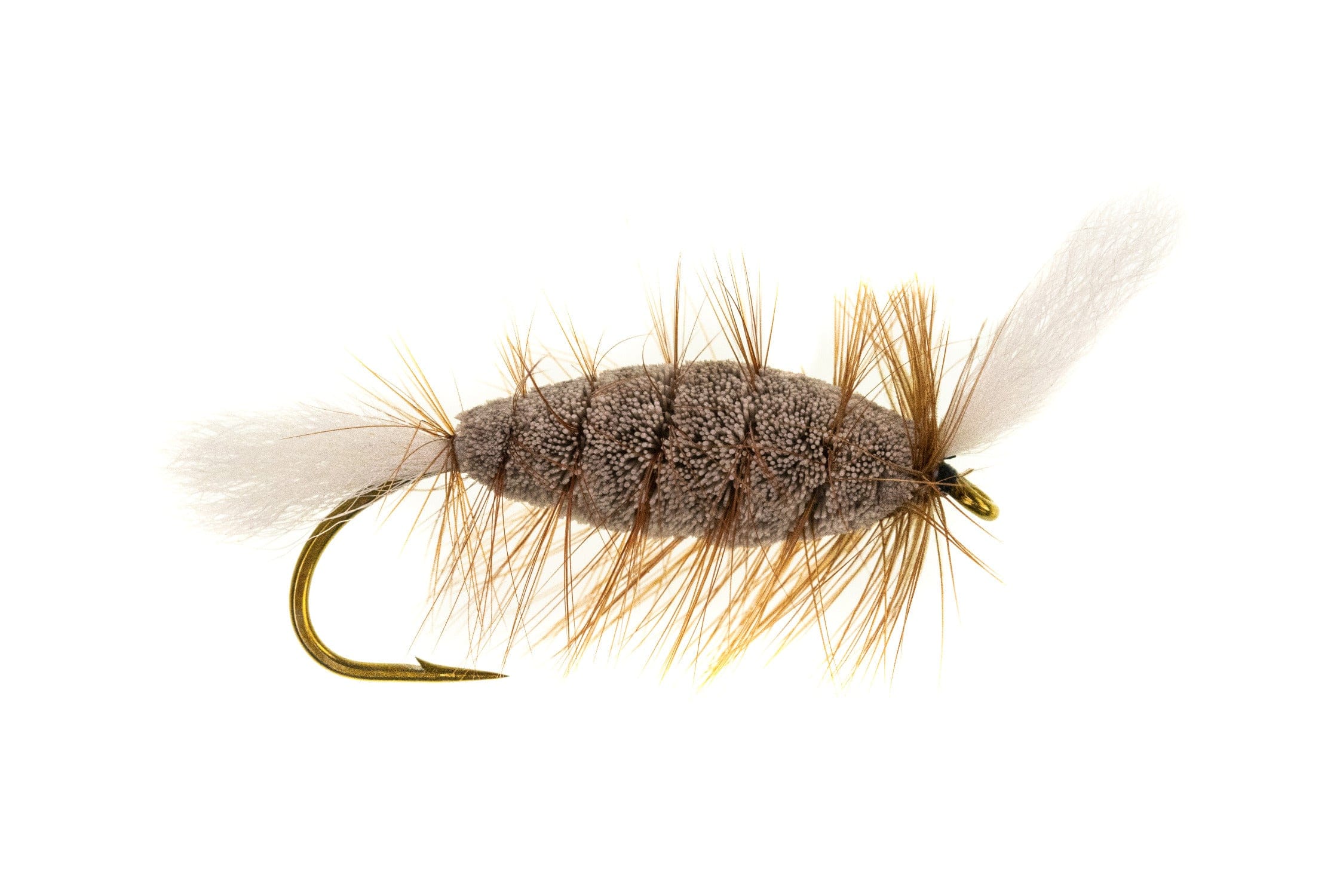 Cigar Bomber Fly
