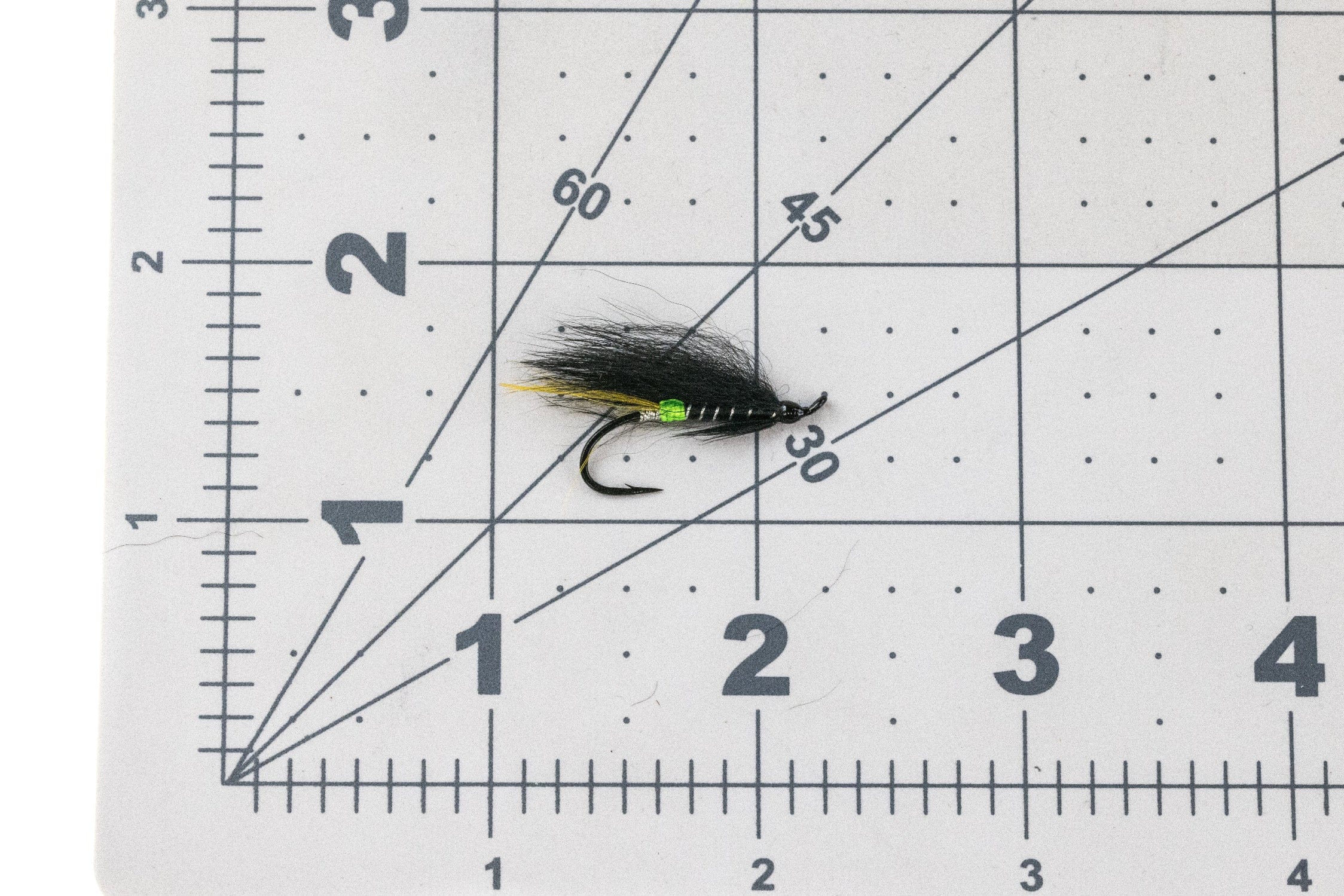 Green Butt Fly