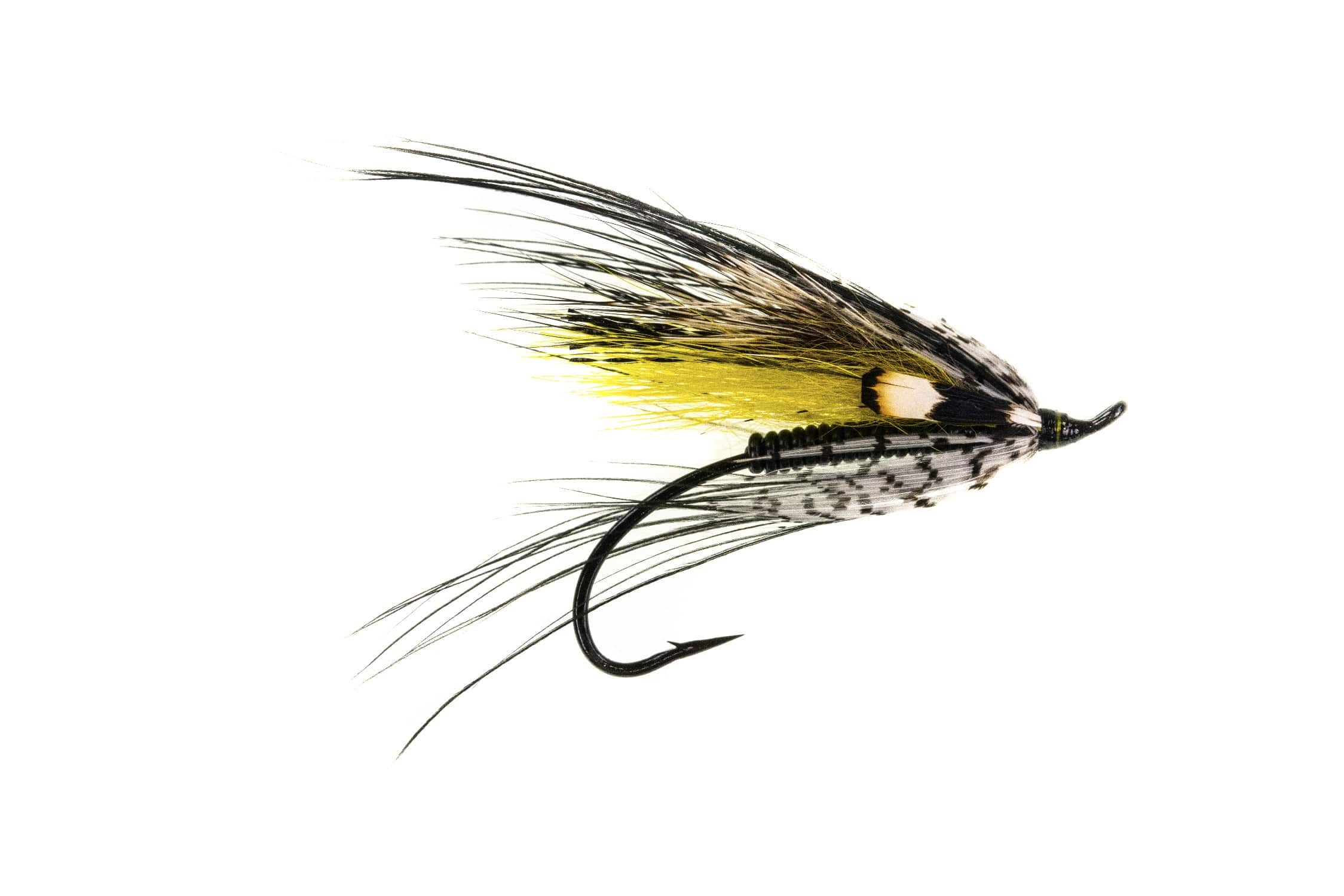 Picasse Fly