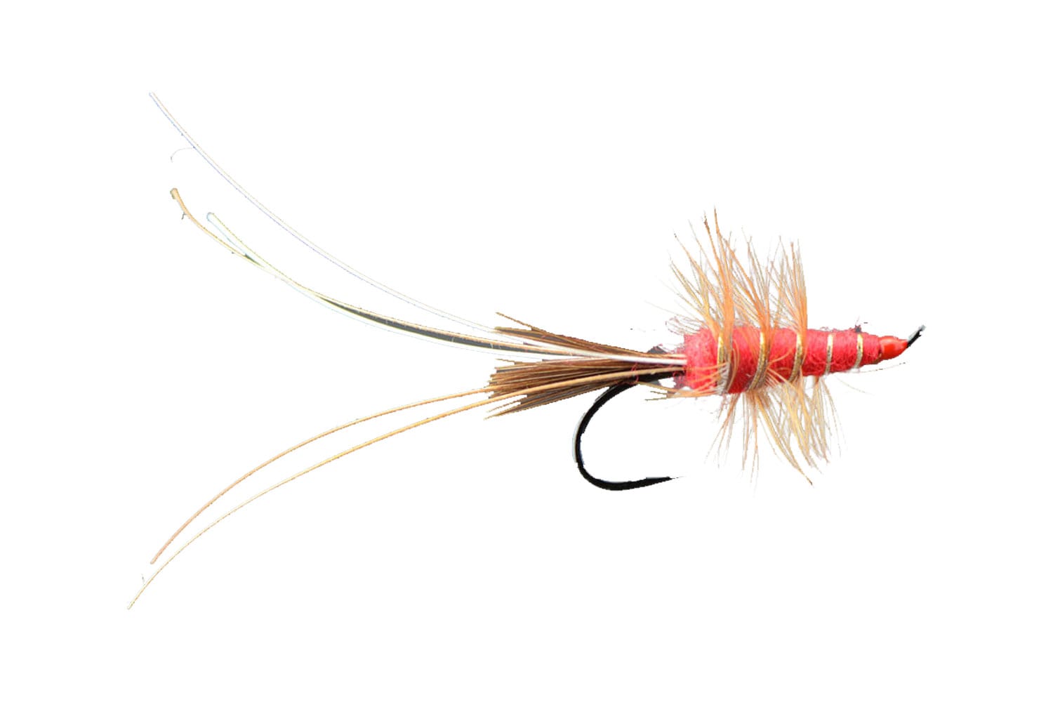 Red Frances Fly