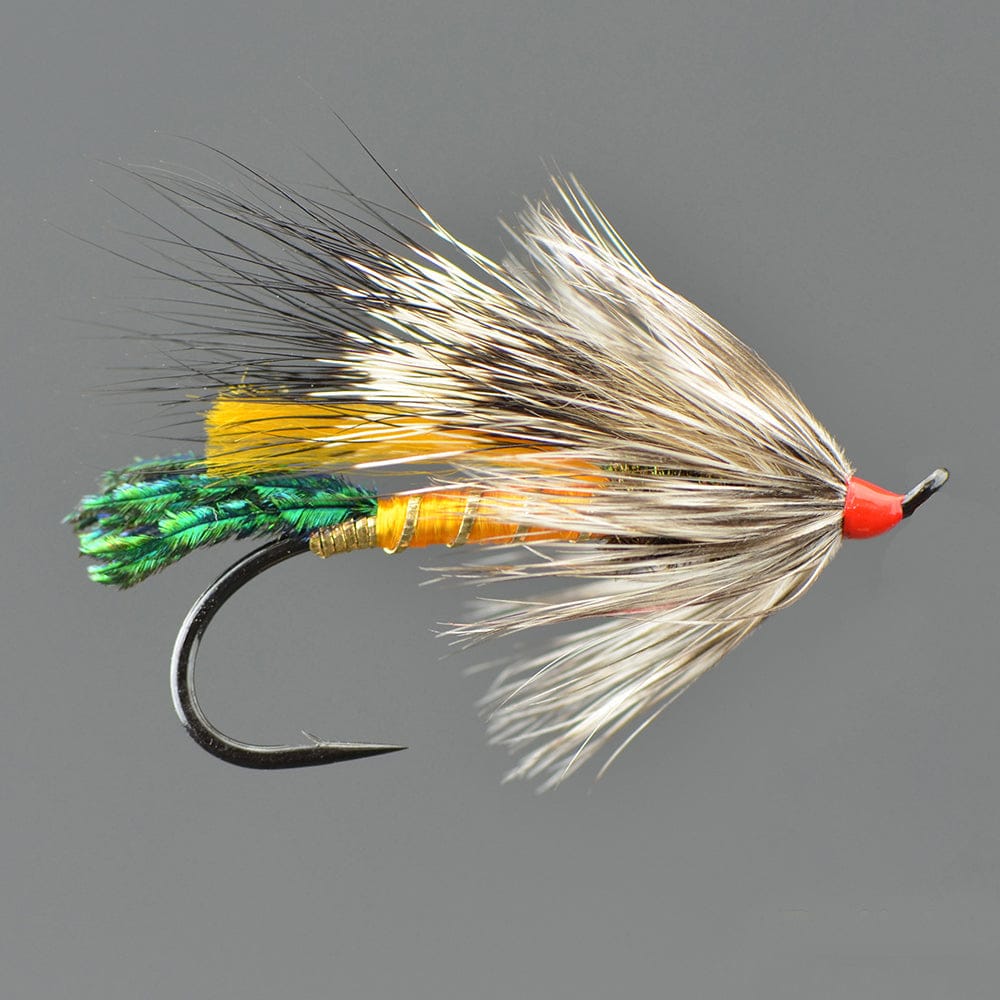 Rusty Rat Fly