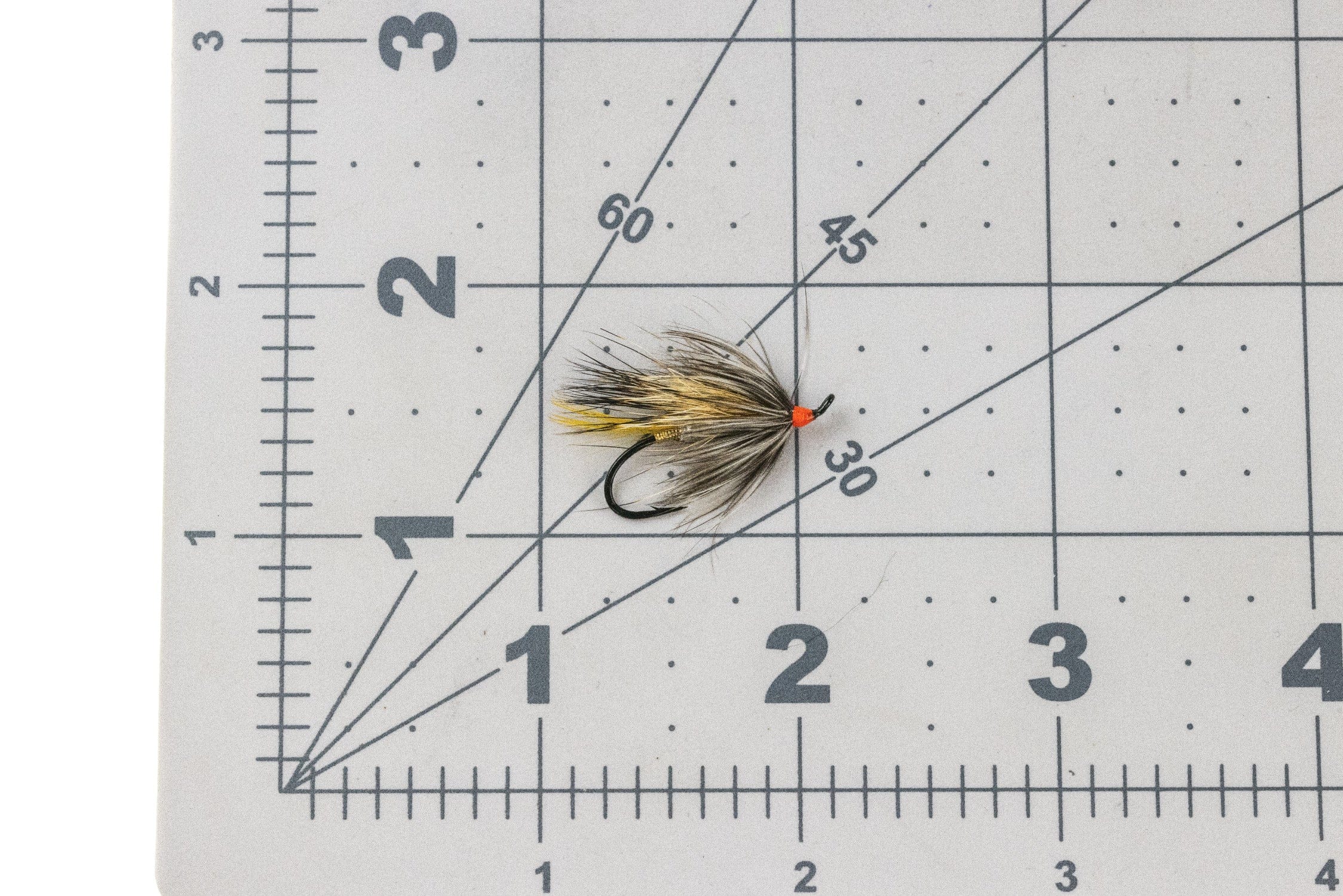 Silver Rat Fly