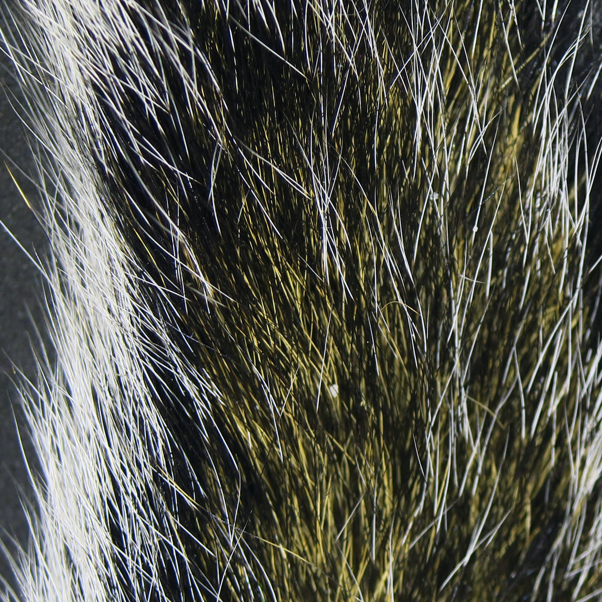 Hareline Gray Squirrel Tails