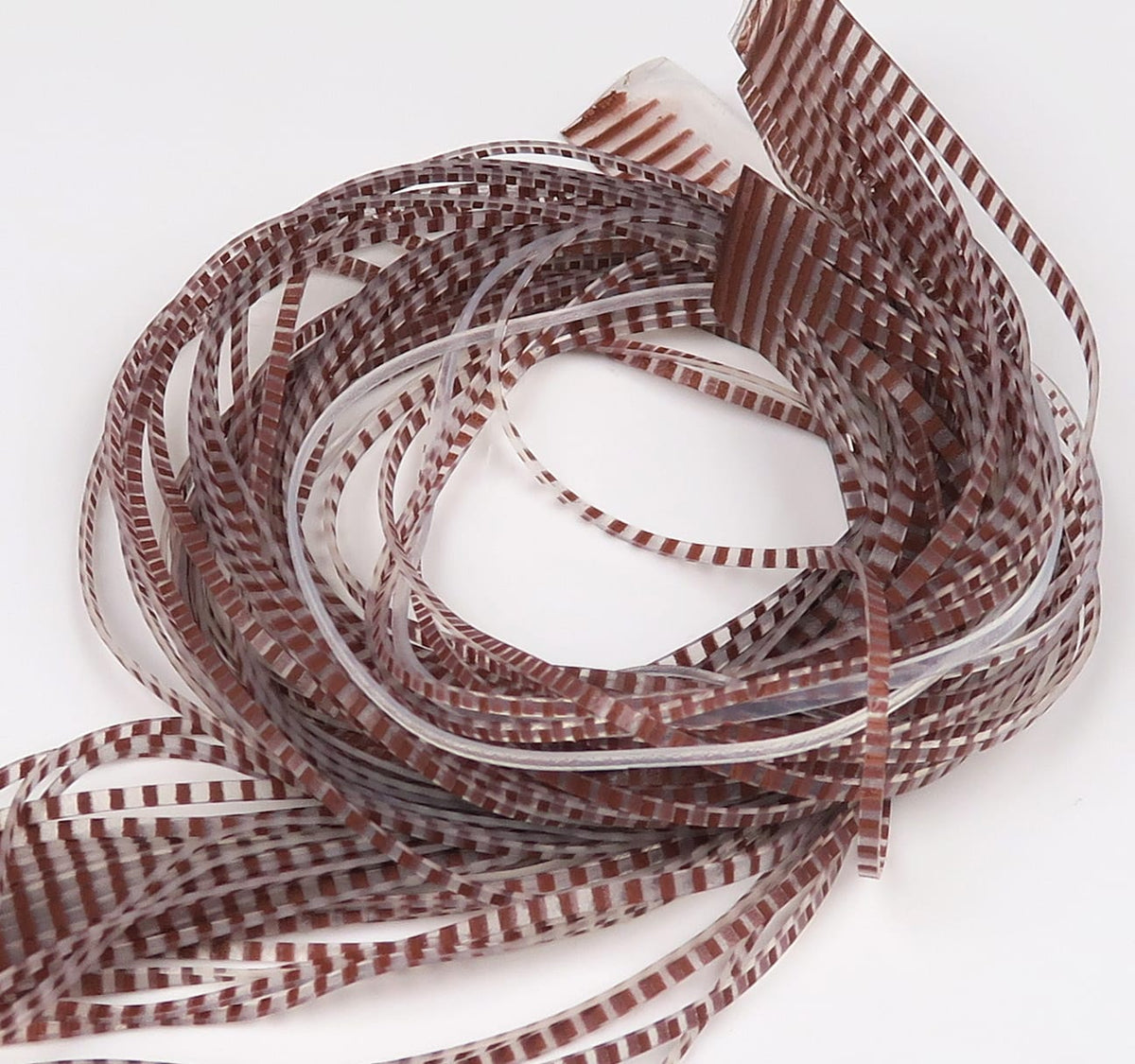 Coiled translucent synthetic fly tying barred legs with brown and white narrow stripes