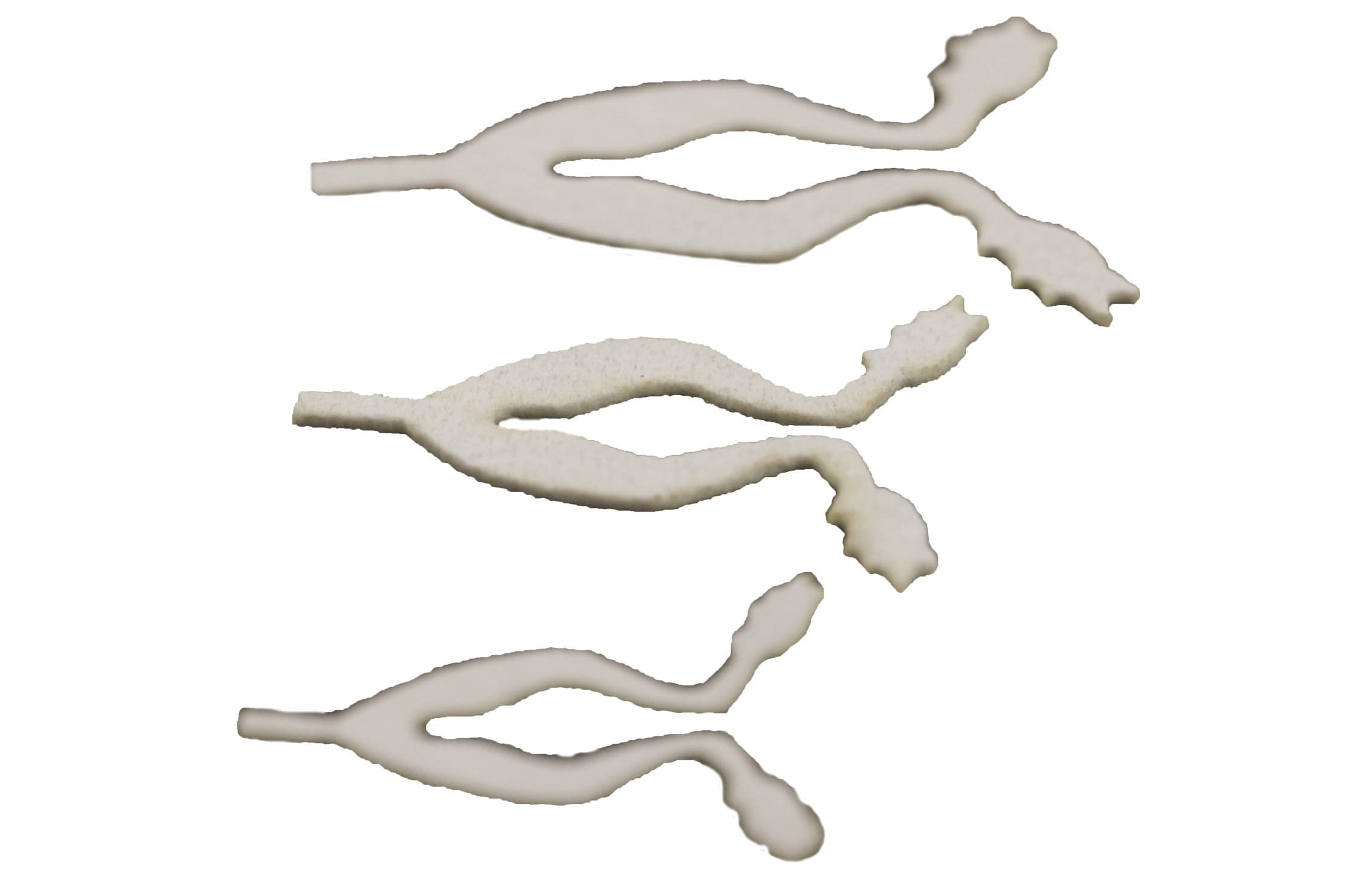 Cohen's Frog Legs