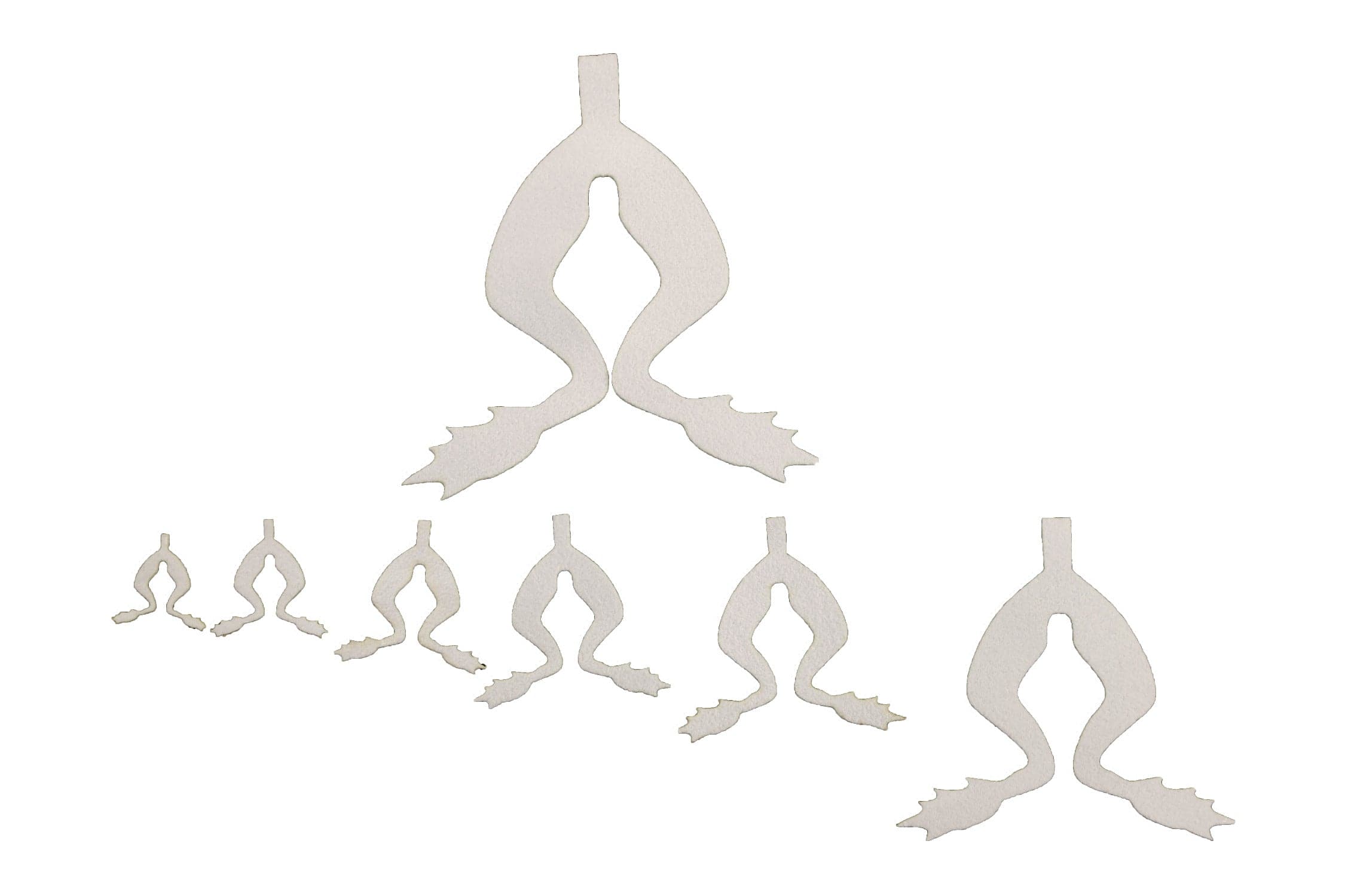 Cohen's Frog Legs