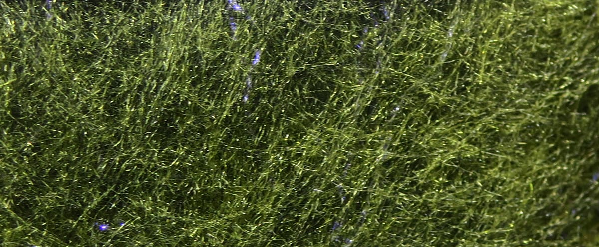 Olive green Jr. Bruiser synthetic dubbing fibers with fine sparkly flash strands for fly tying