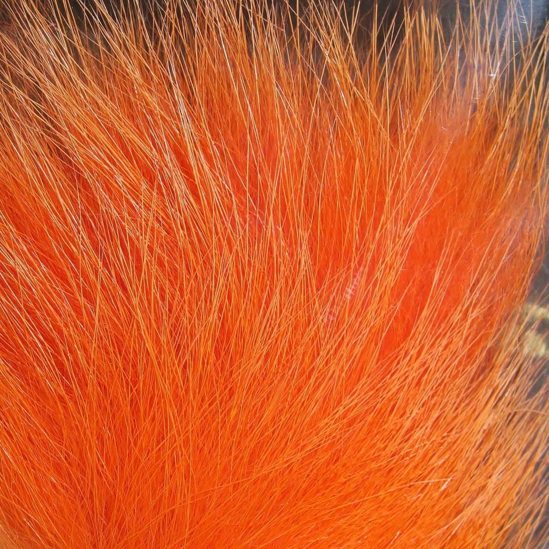 Bright orange Arctic fox hair for fly tying, dense long guard hairs with soft fluffy underfur texture