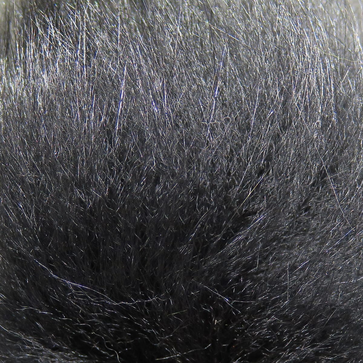Hareline Arctic Fox Hair charcoal black, dense soft underfur with glossy long guard hairs for fly tying