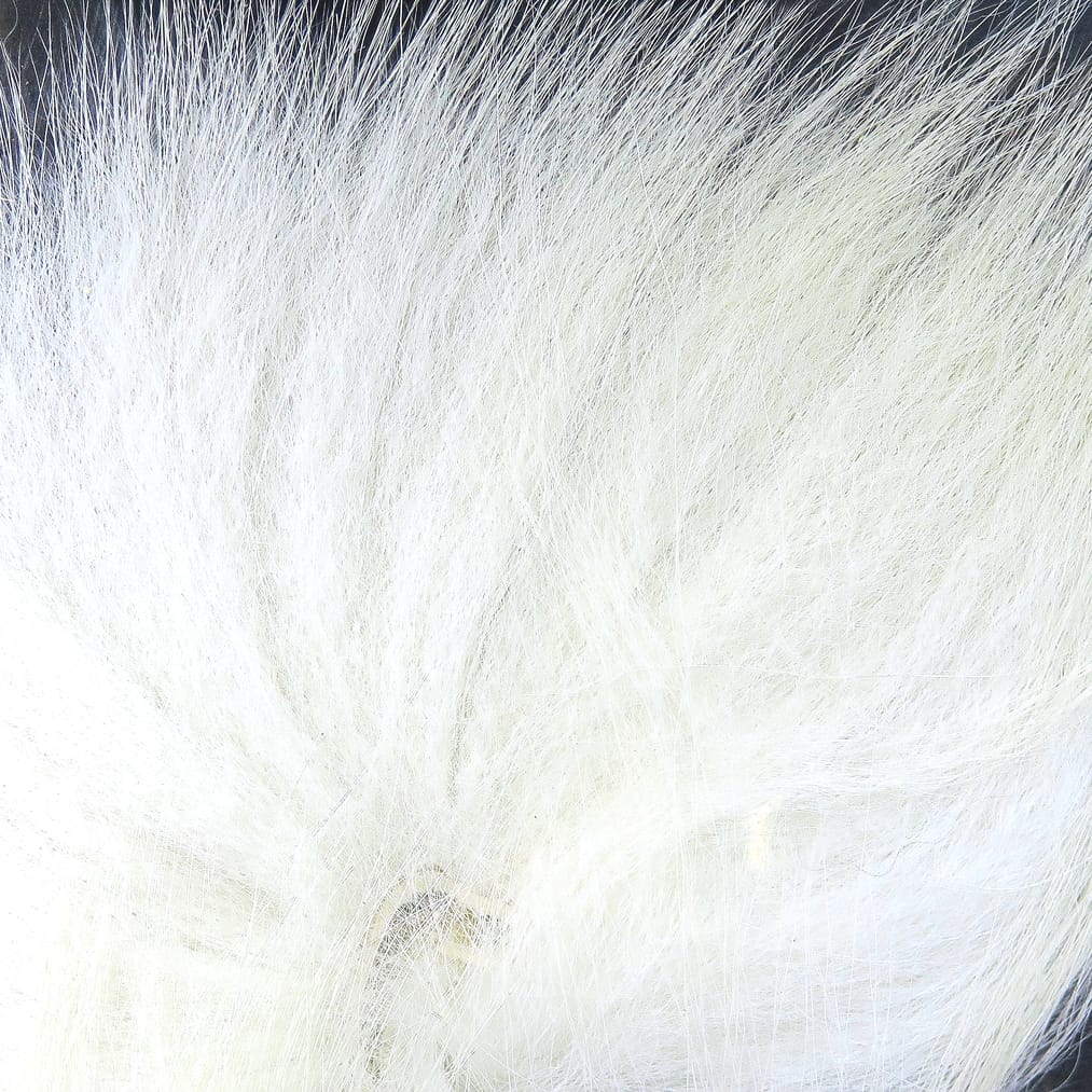 Hareline Arctic fox tail hair: fluffy long white fur fibers, soft flowing guard hairs for fly tying
