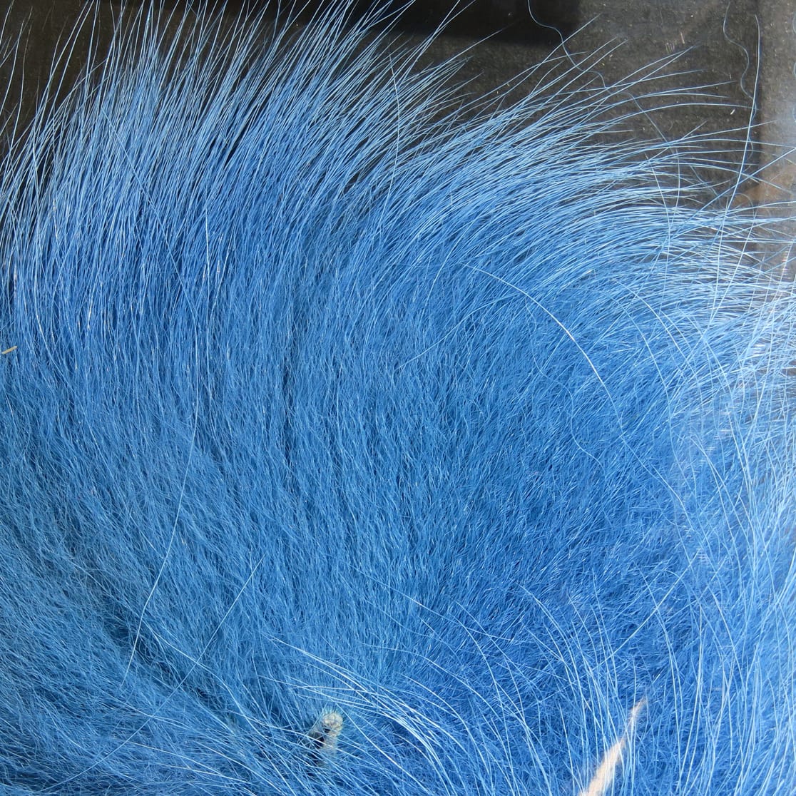 Bright blue dyed Arctic fox tail hair with long glossy guard hairs and dense soft underfur for fly tying.