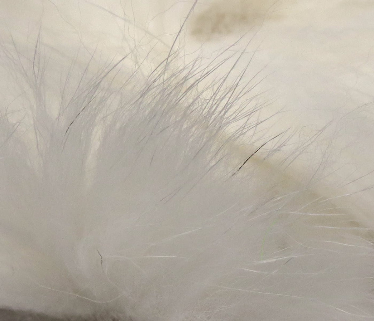 White Arctic fox zonker strips with long soft fur and guard hairs, fluffy fly tying material