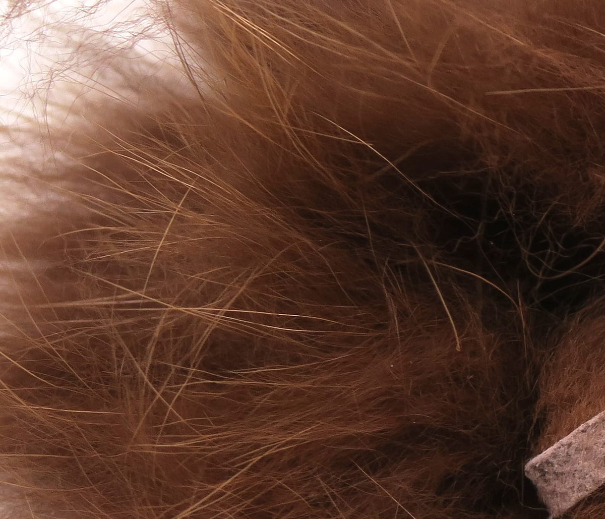 Brown Arctic fox zonker strips with long soft fur and golden guard hairs for fly tying