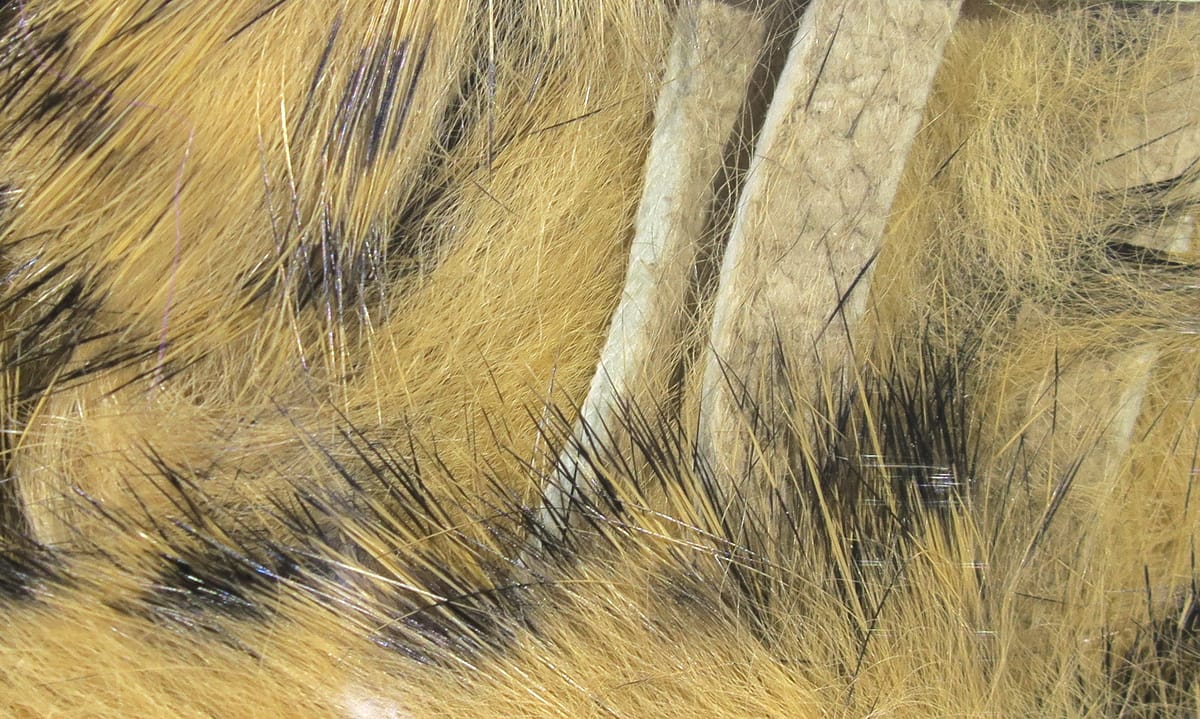 Golden tan rabbit fur strips with black-barred guard hairs and pale leather backing, dense underfur for fly tying