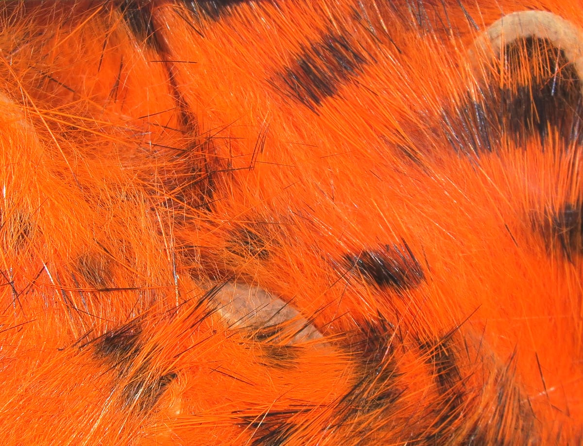 Bright orange dyed rabbit fur strips with black barred spots and long soft hairs, Hareline fly tying material