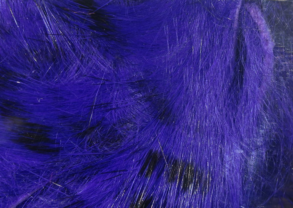 Vibrant purple rabbit fur strips with black barred markings, glossy soft fur for fly tying
