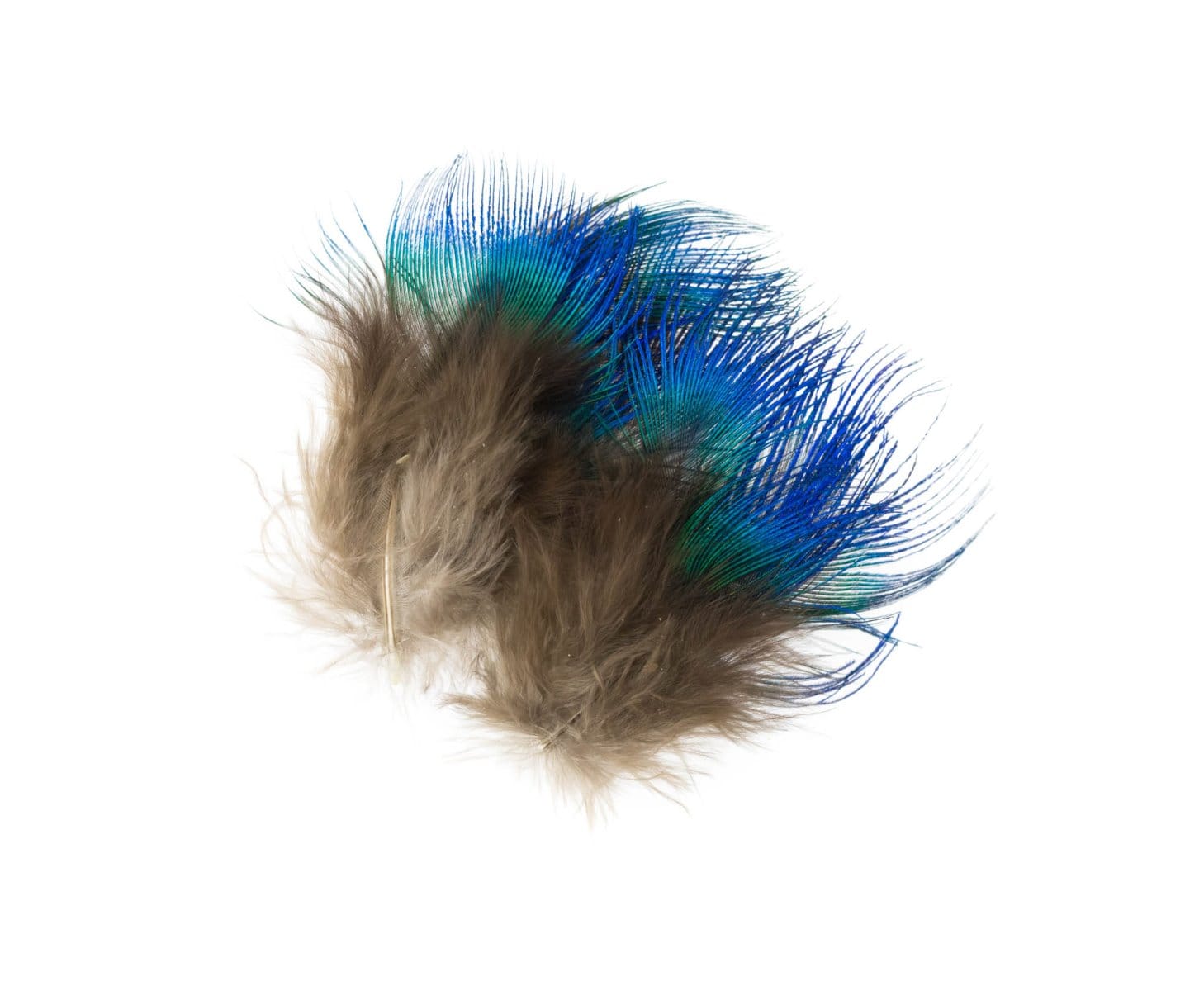 Hareline Blue Peacock Neck Feathers
