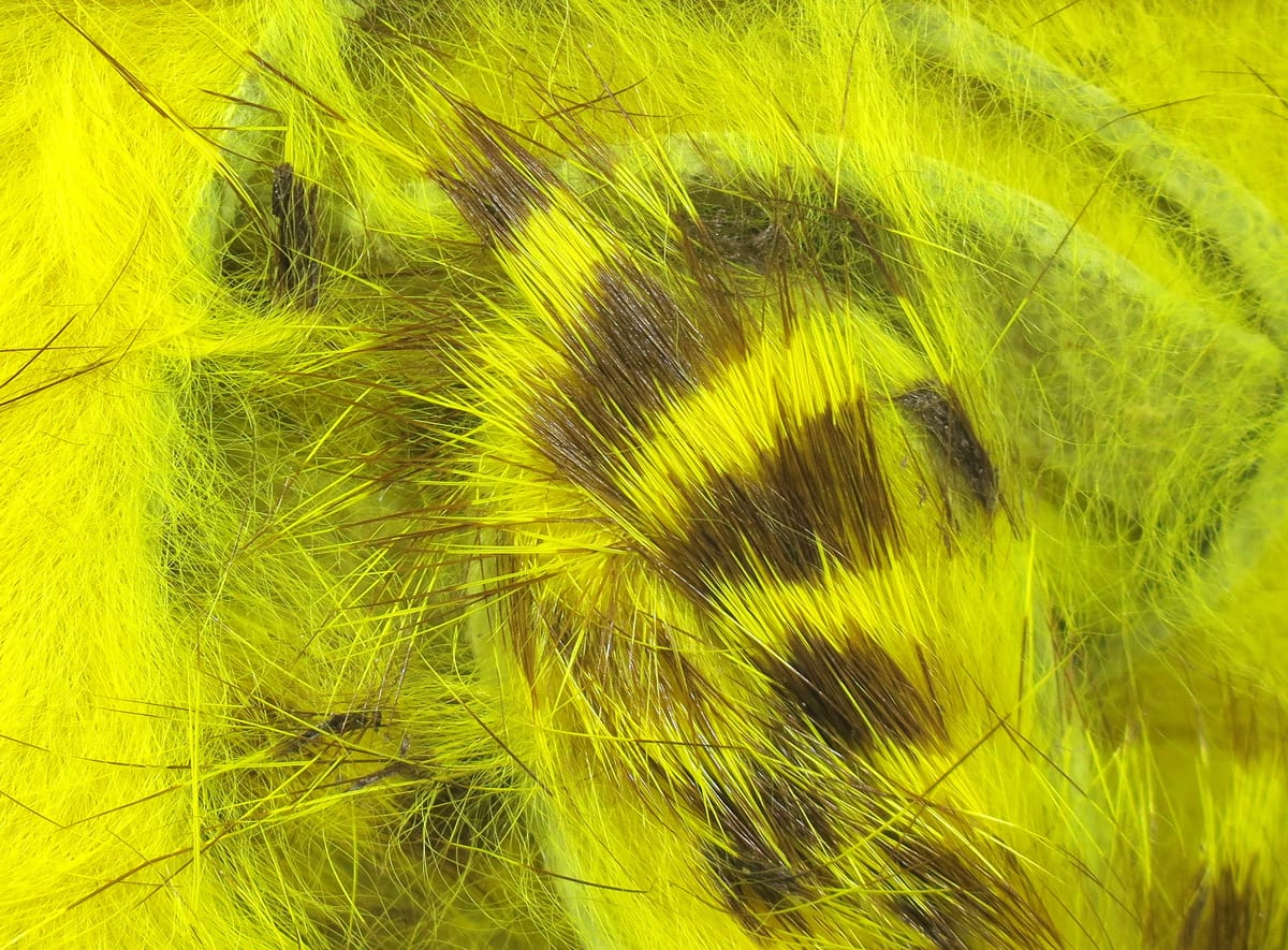 Bright chartreuse yellow rabbit fur strips with brown barred pattern, magnum long soft fur for fly tying