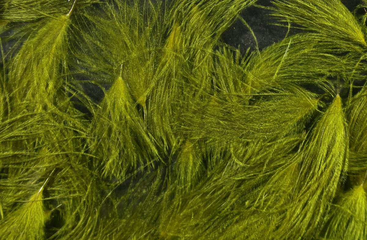 Olive green Hareline CDC oiler puffs, soft fluffy waterfowl feathers for fly tying with fine barbs and glossy sheen
