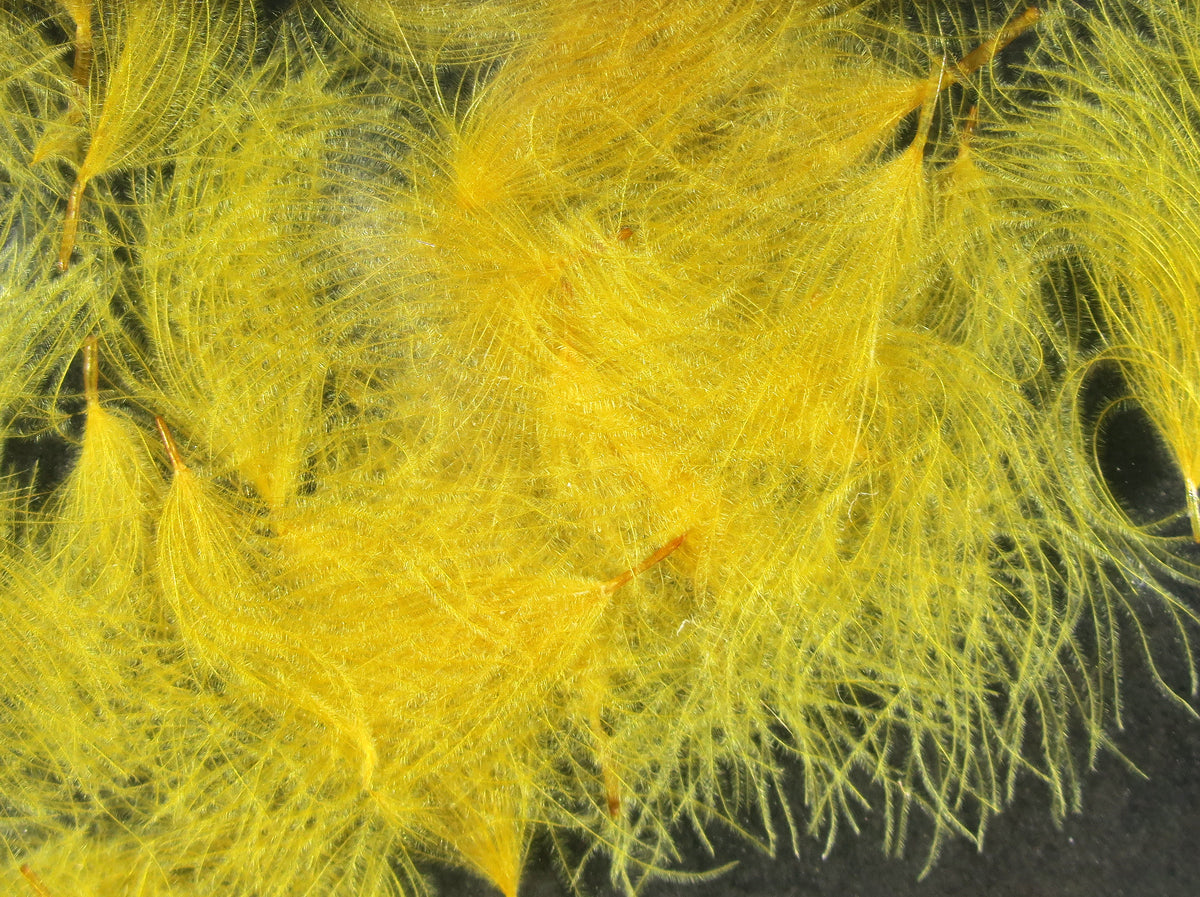 Bright yellow CDC oiler puffs with fine downy filaments and tiny quills, soft fly tying feathers on dark background