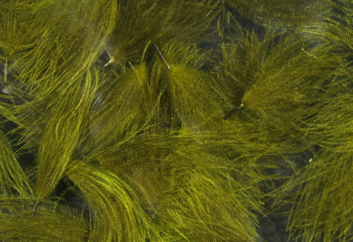 Olive green Hareline CDC oiler puffs, soft downy feather clusters with fine barbs for fly tying