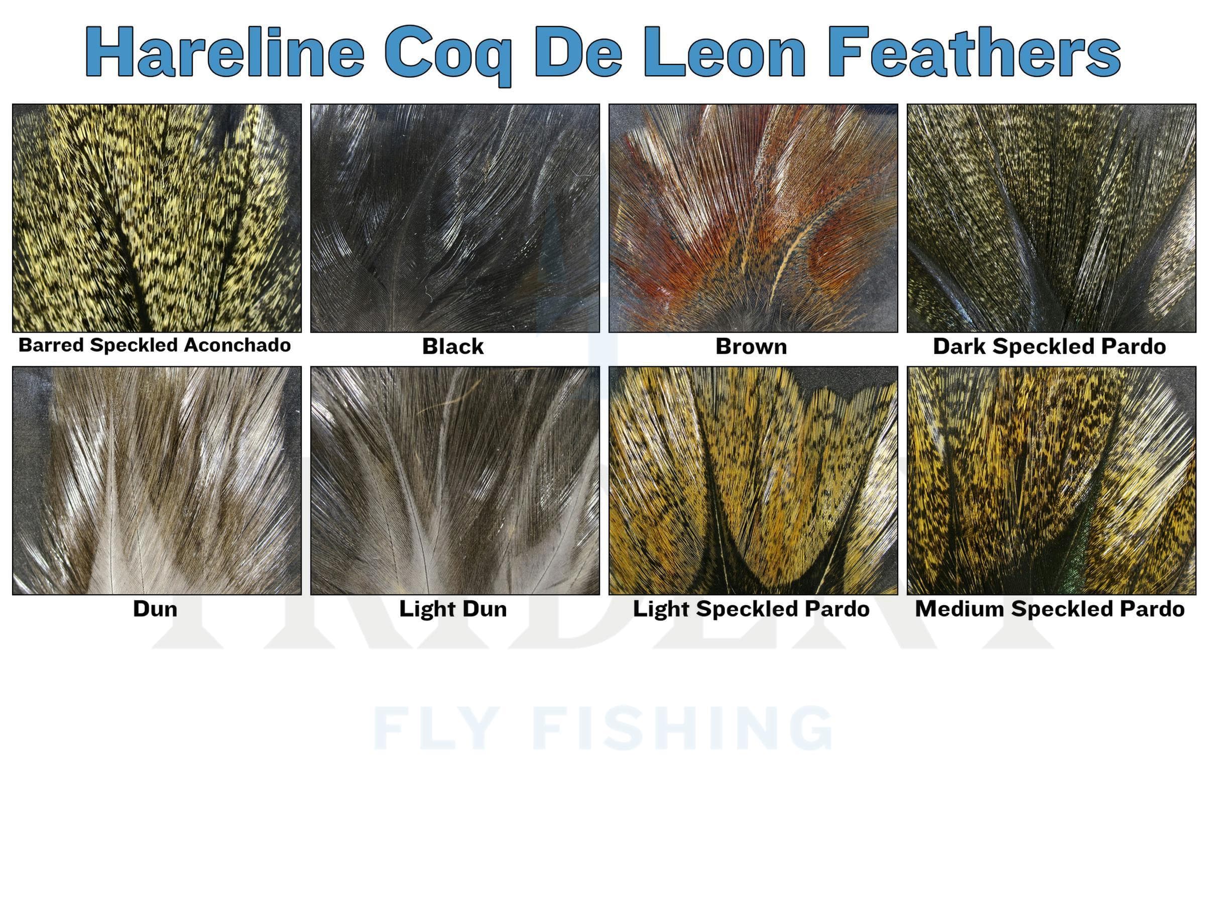 Hareline Coq De Leon Feathers