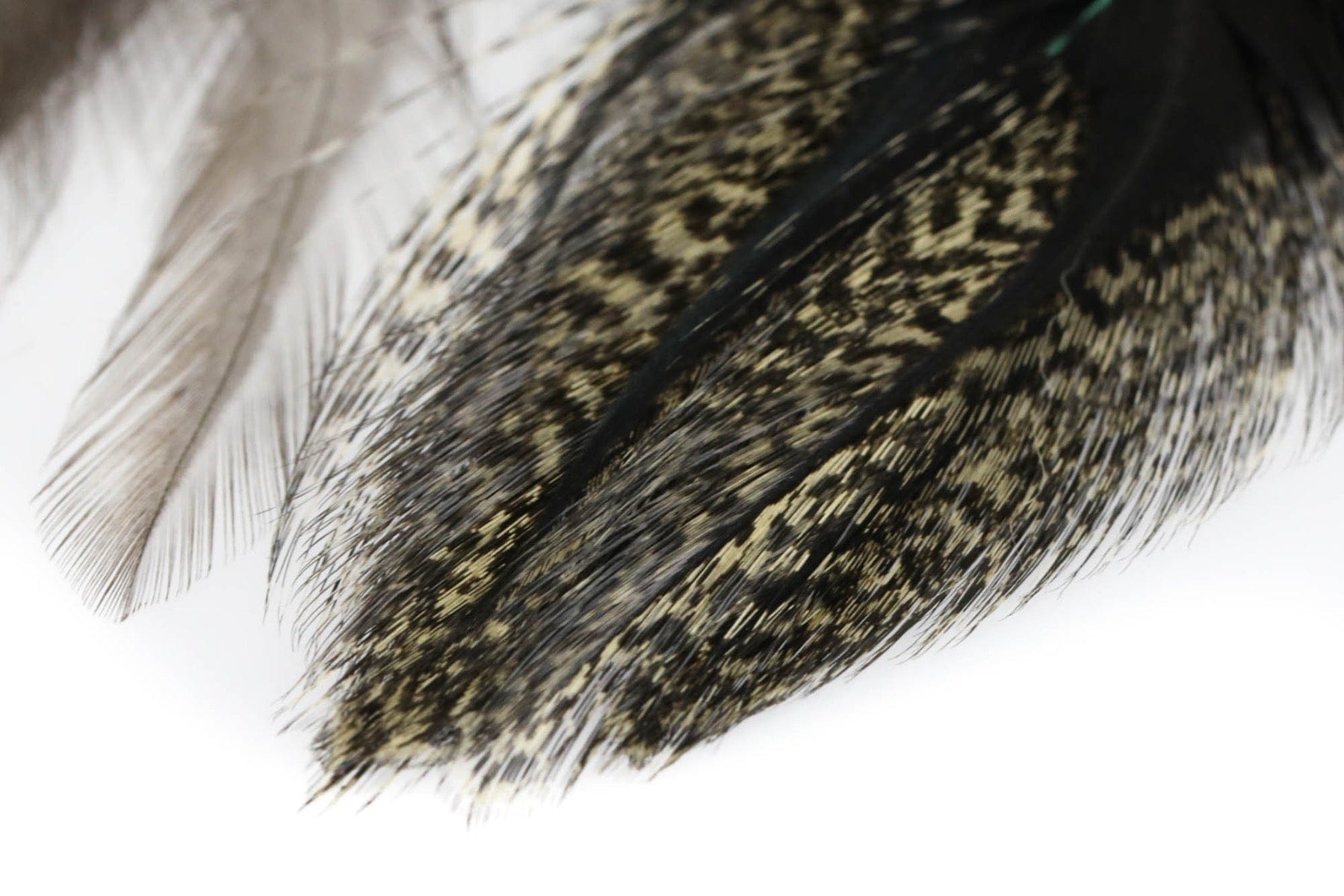Hareline Coq De Leon Feathers