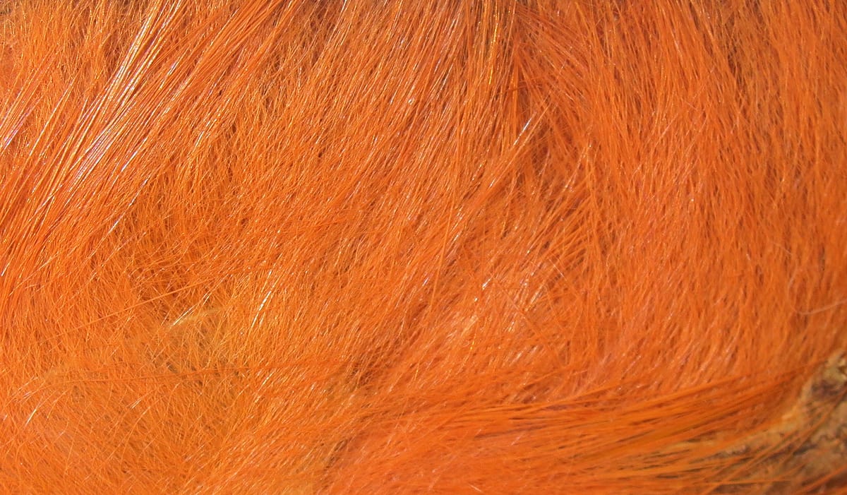 Bright orange Hareline crosscut rabbit fur strips close-up showing soft fine glossy fibers for fly tying