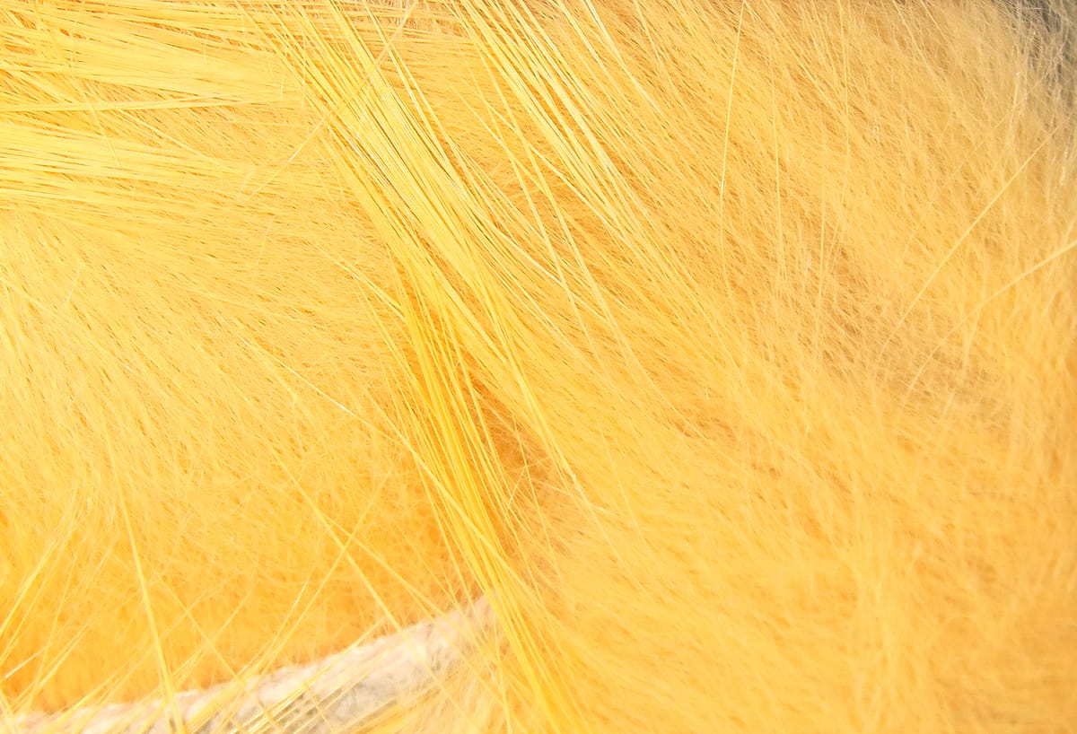 Golden yellow crosscut rabbit fur strips with long guard hairs and soft dense underfur for fly tying