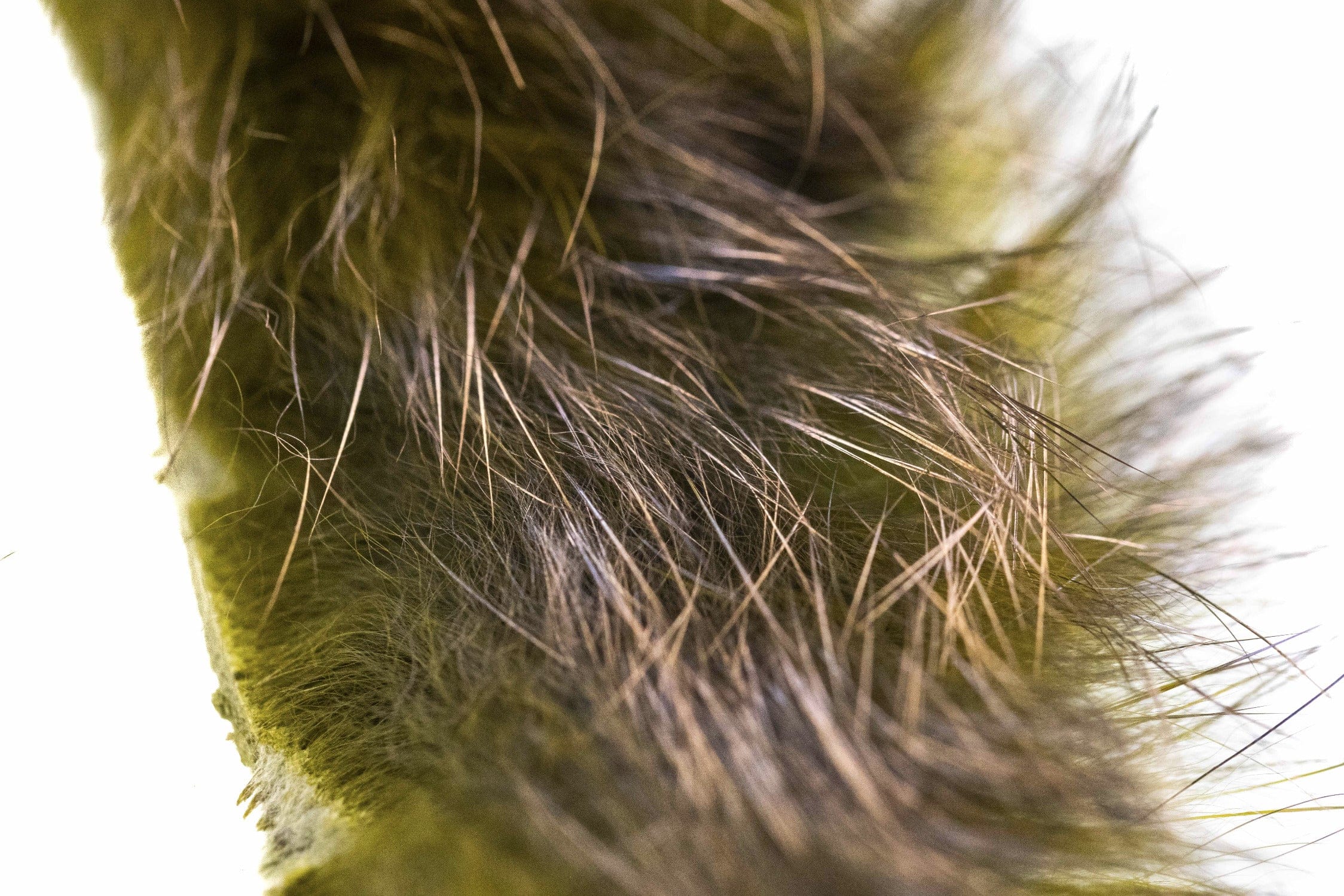 Hareline Crosscut Shimmer Rabbit Fur Strips