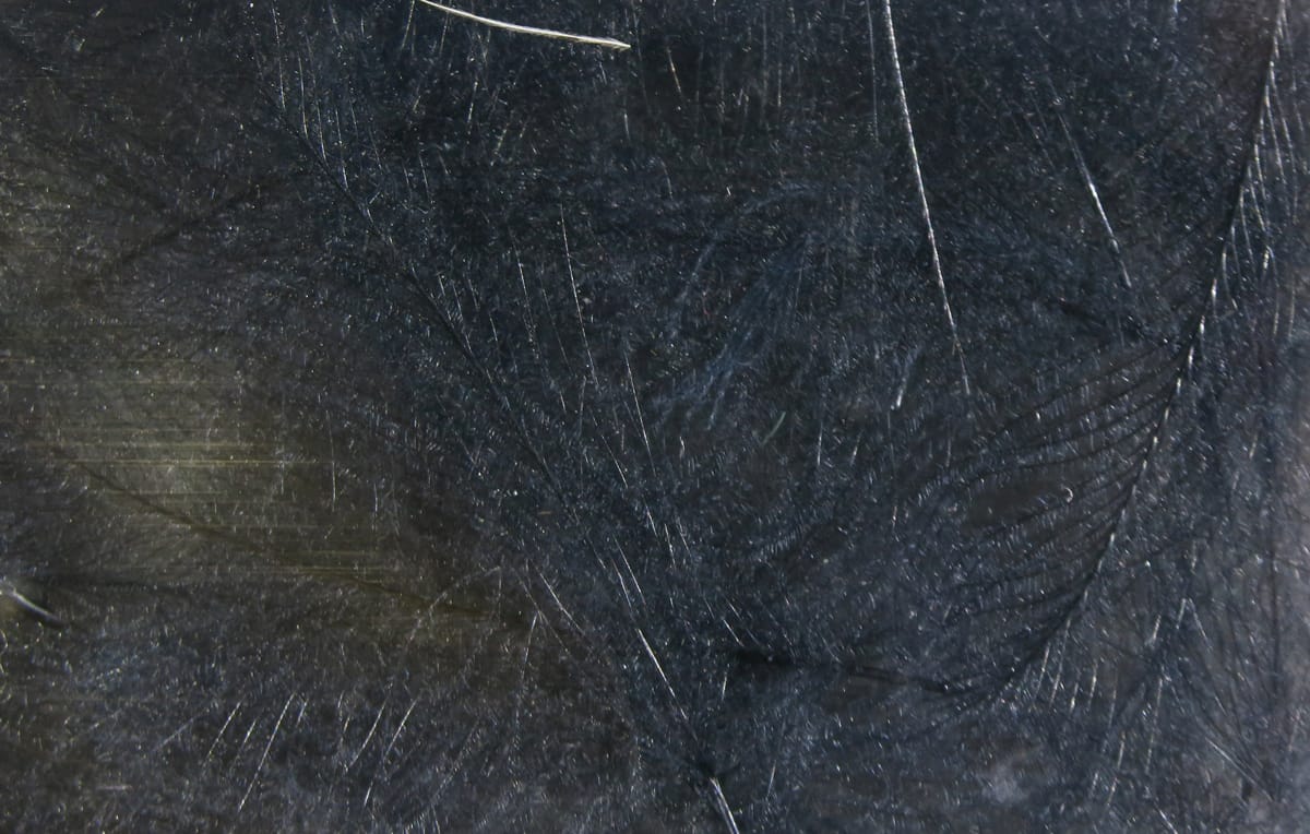 Hareline Cul de Canard CDC feathers close-up showing dark charcoal downy feathers with fine translucent barbs for fly tying
