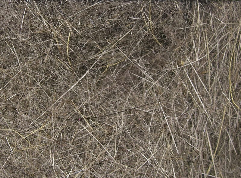 Hareline dubbin: tangled natural tan-gray fur fibers with fine and guard hairs, soft fly tying dubbing