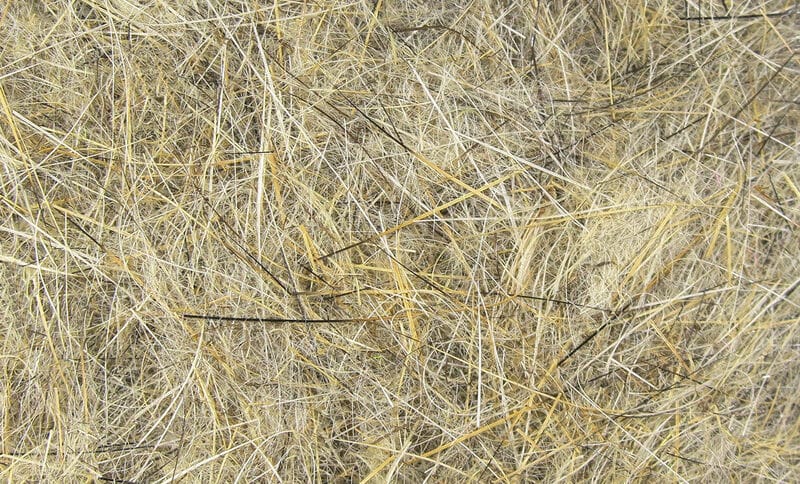 Hareline Dubbin natural hare dubbing fibers in tan and beige with fine underfur and dark guard hairs for fly tying