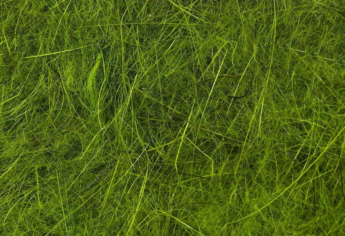 Chartreuse Hareline Dubbin for fly tying, wispy fine fur fibers with glossy sheen and olive-green tones